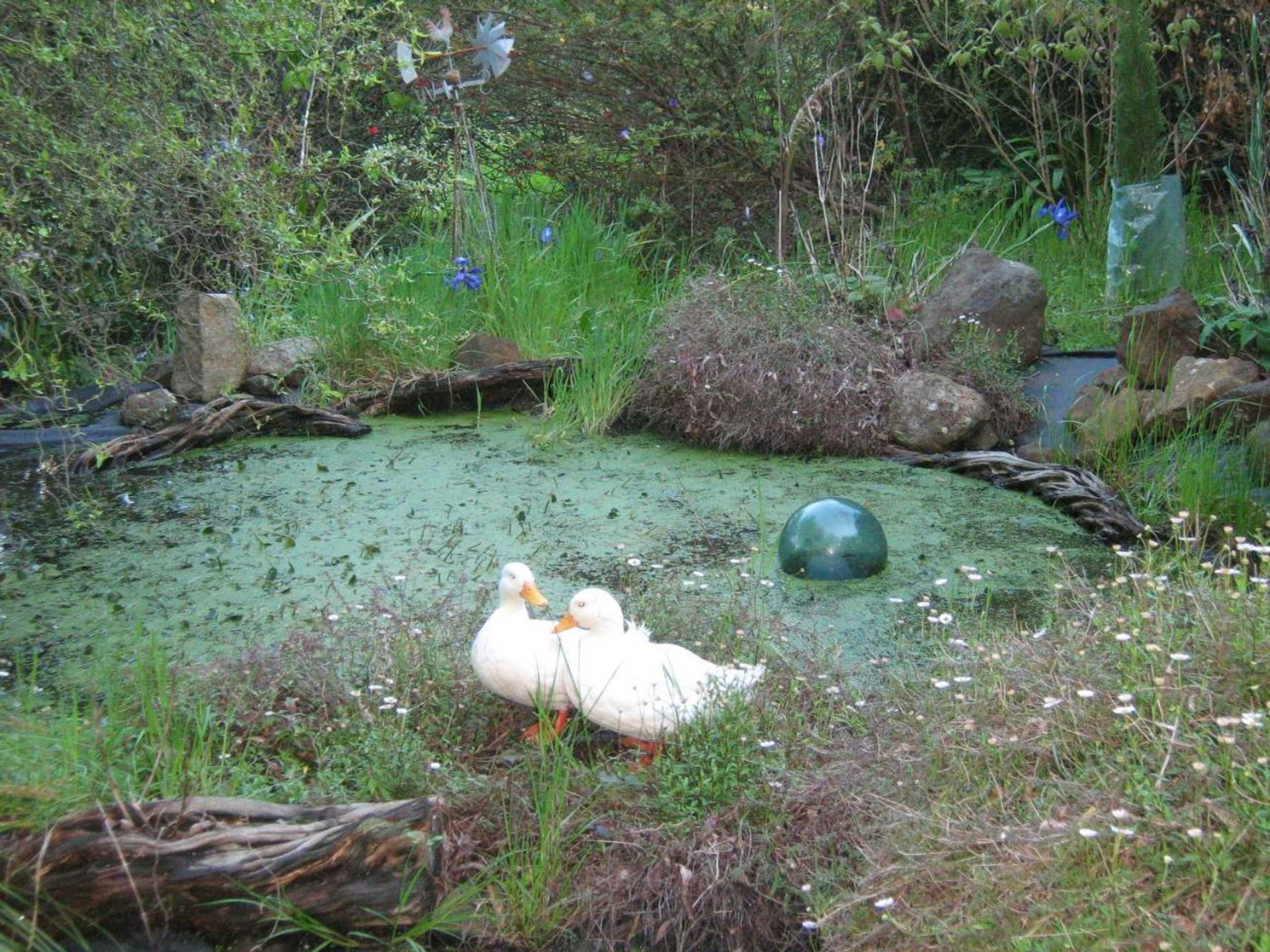 Gift card for Summerhill Farm B&b