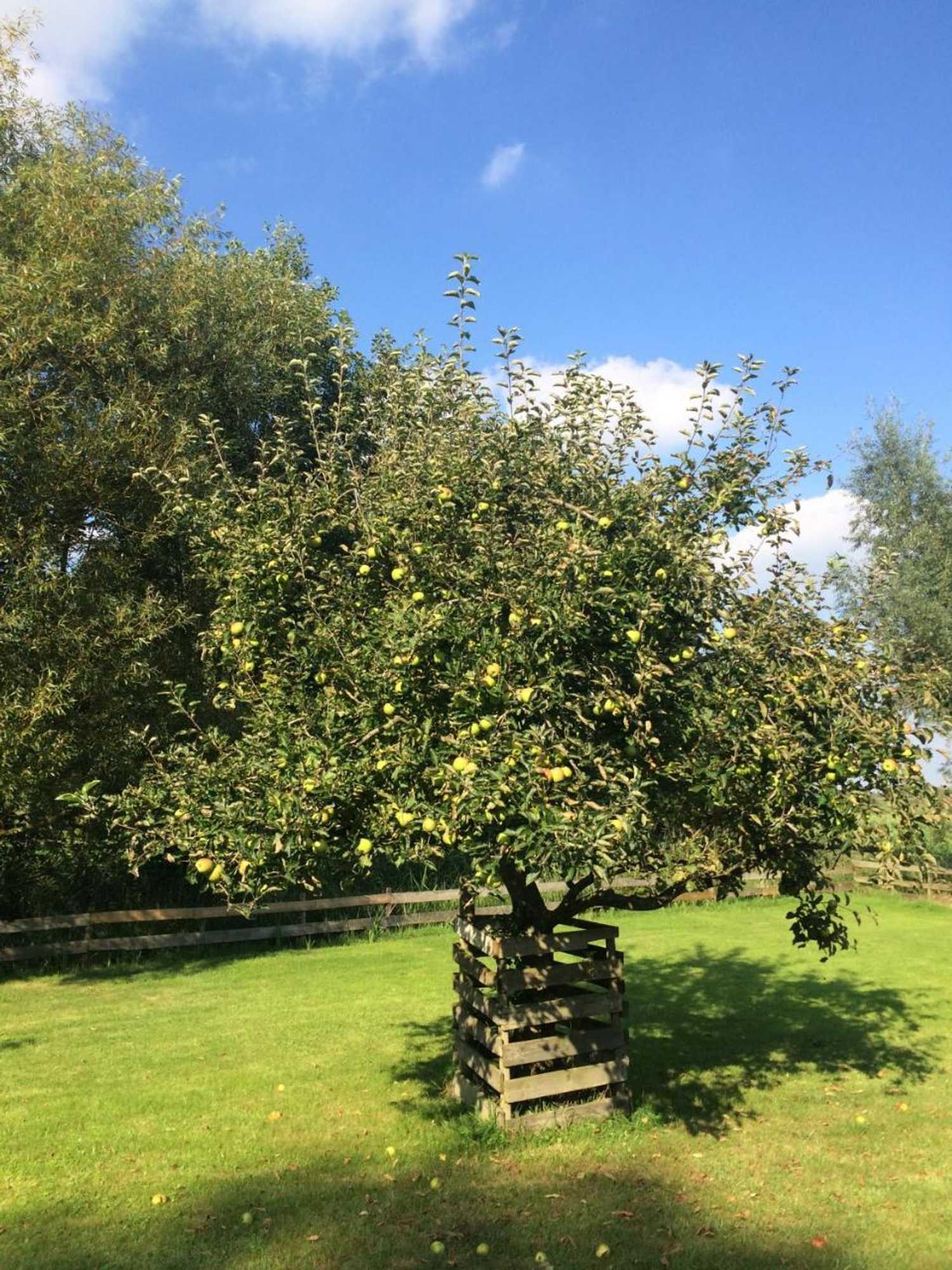 Gift card for The Black Sheep Hostel