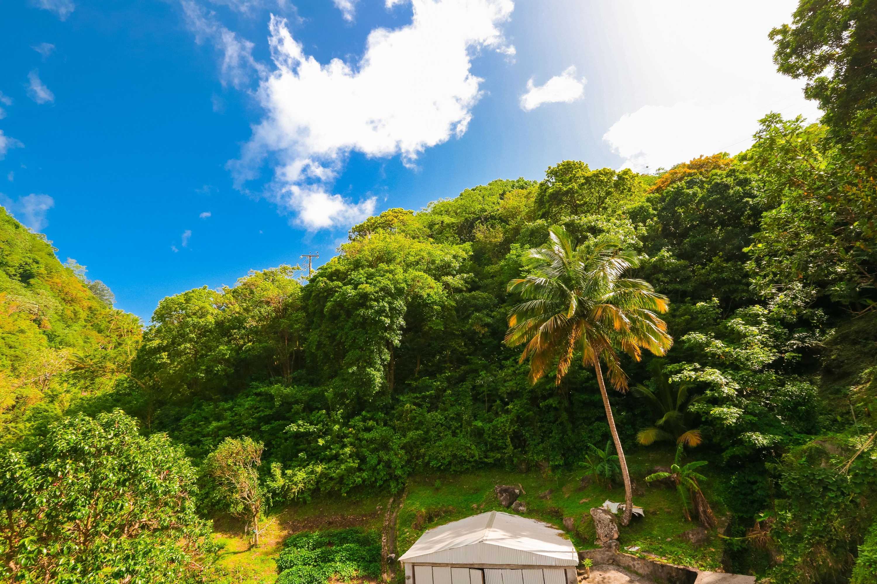 Gift card for Serenity Escape St Lucia Gift card for Serenity Escape St Lucia