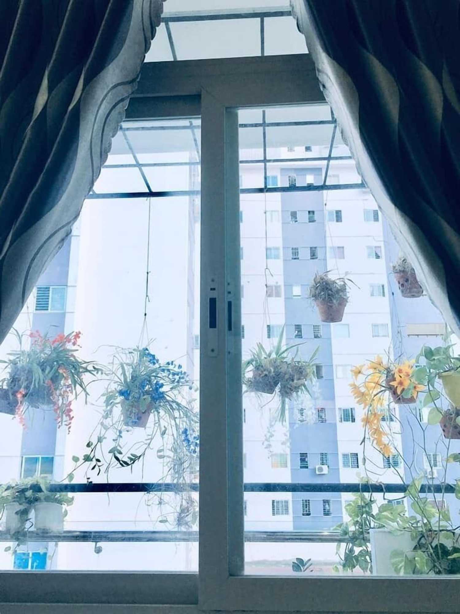 Gift card for Quy Nhon Homestay Bnb