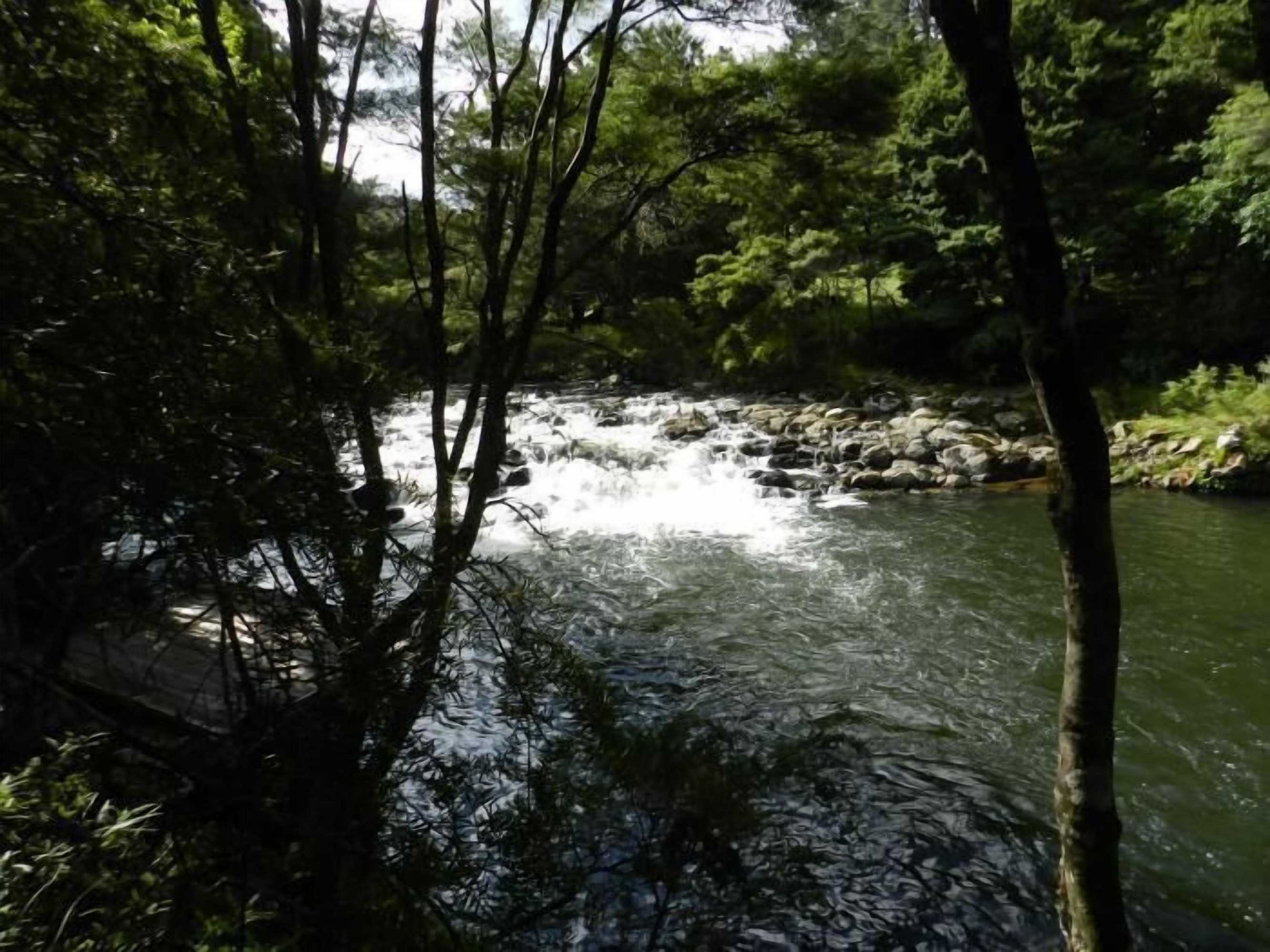 Gift card for Puketotara Lodge