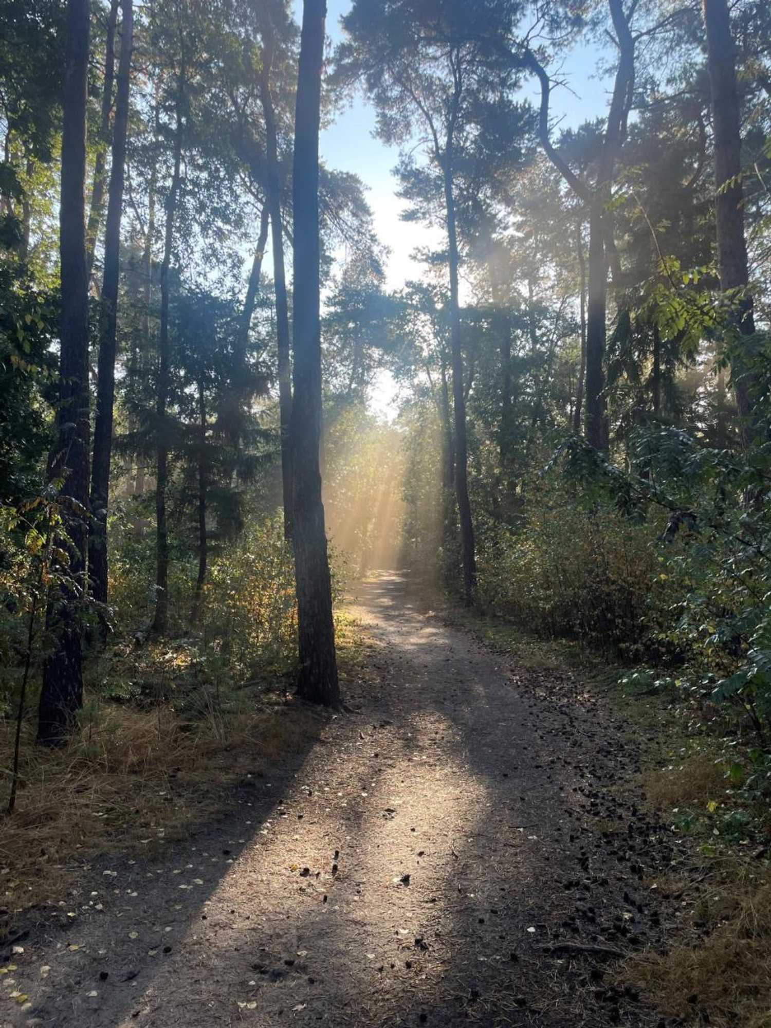 Gift card for Duynparc Soest