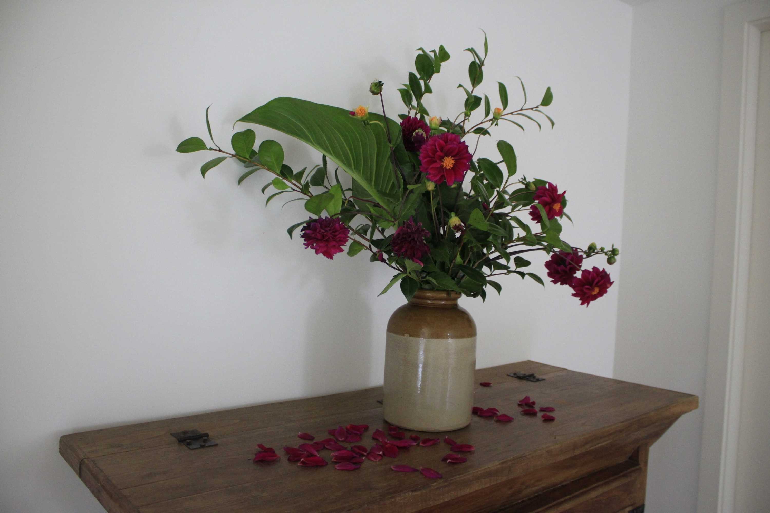 Gift card for Casa da Cisaltina