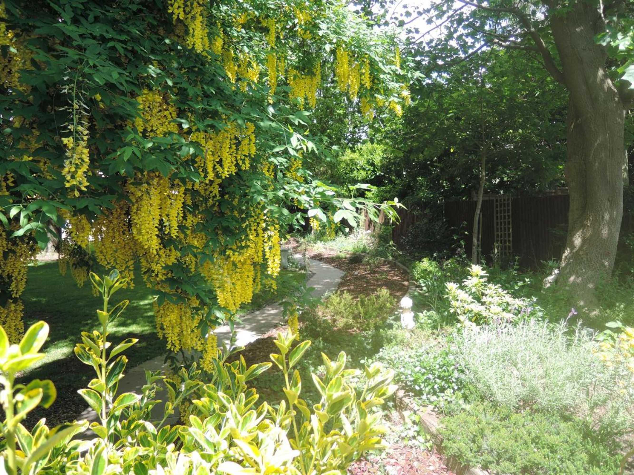 Gift card for Tresillian House Guest House & Garden