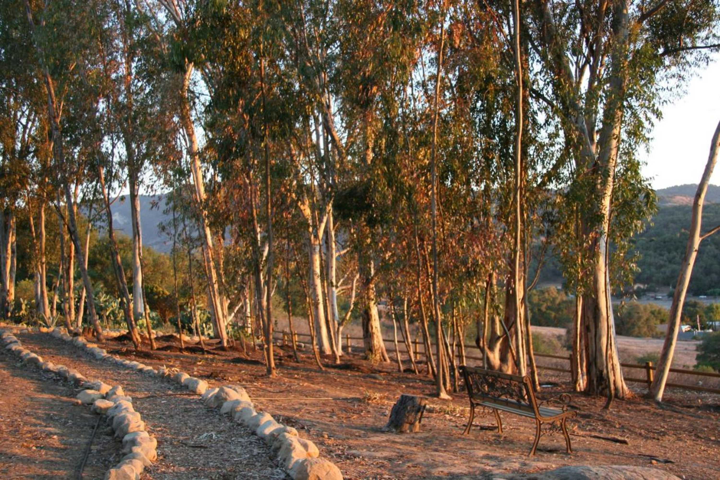 Gift card for Ojai Retreat & Inn