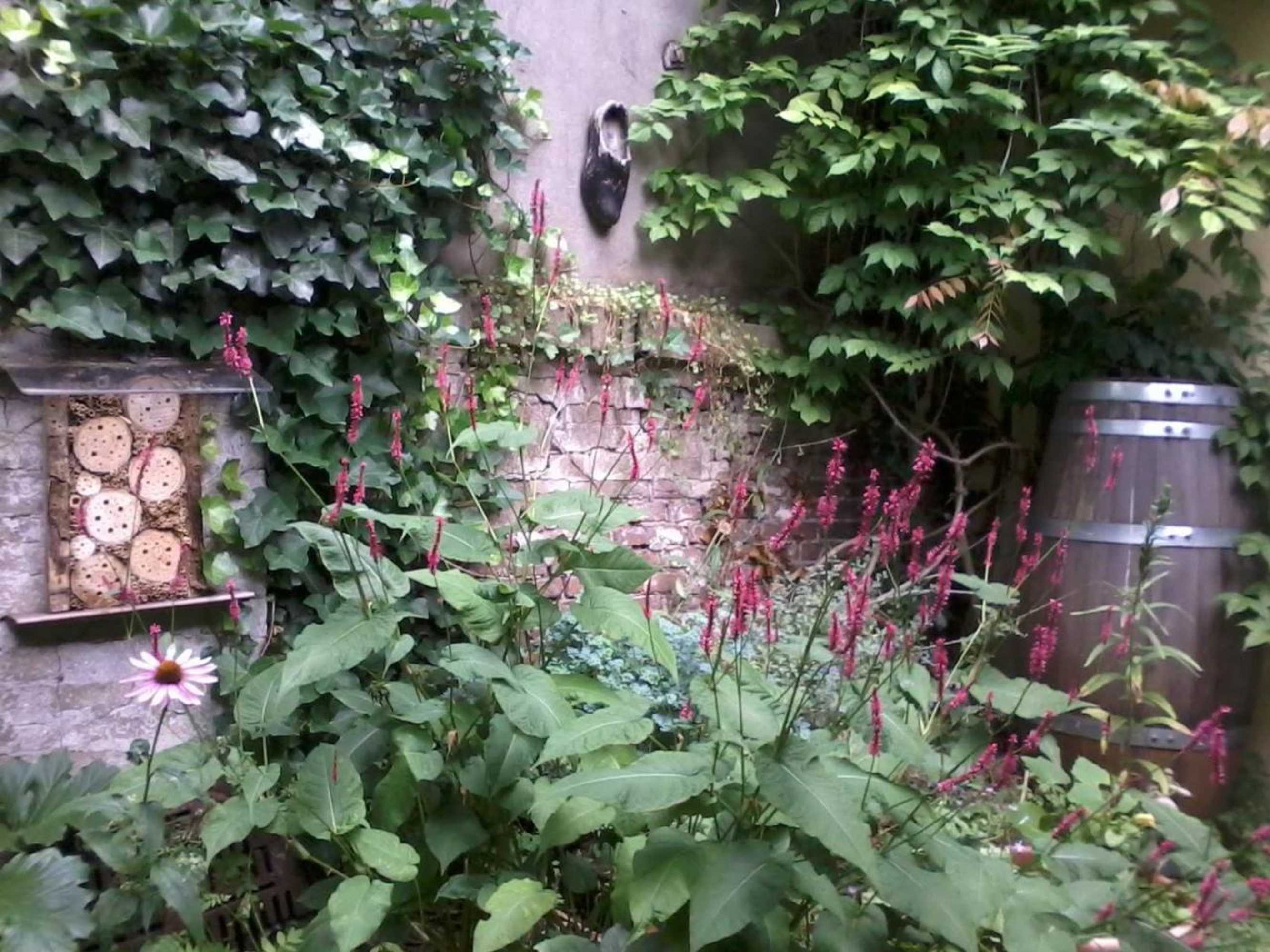 Gift card for Strowis Hostel