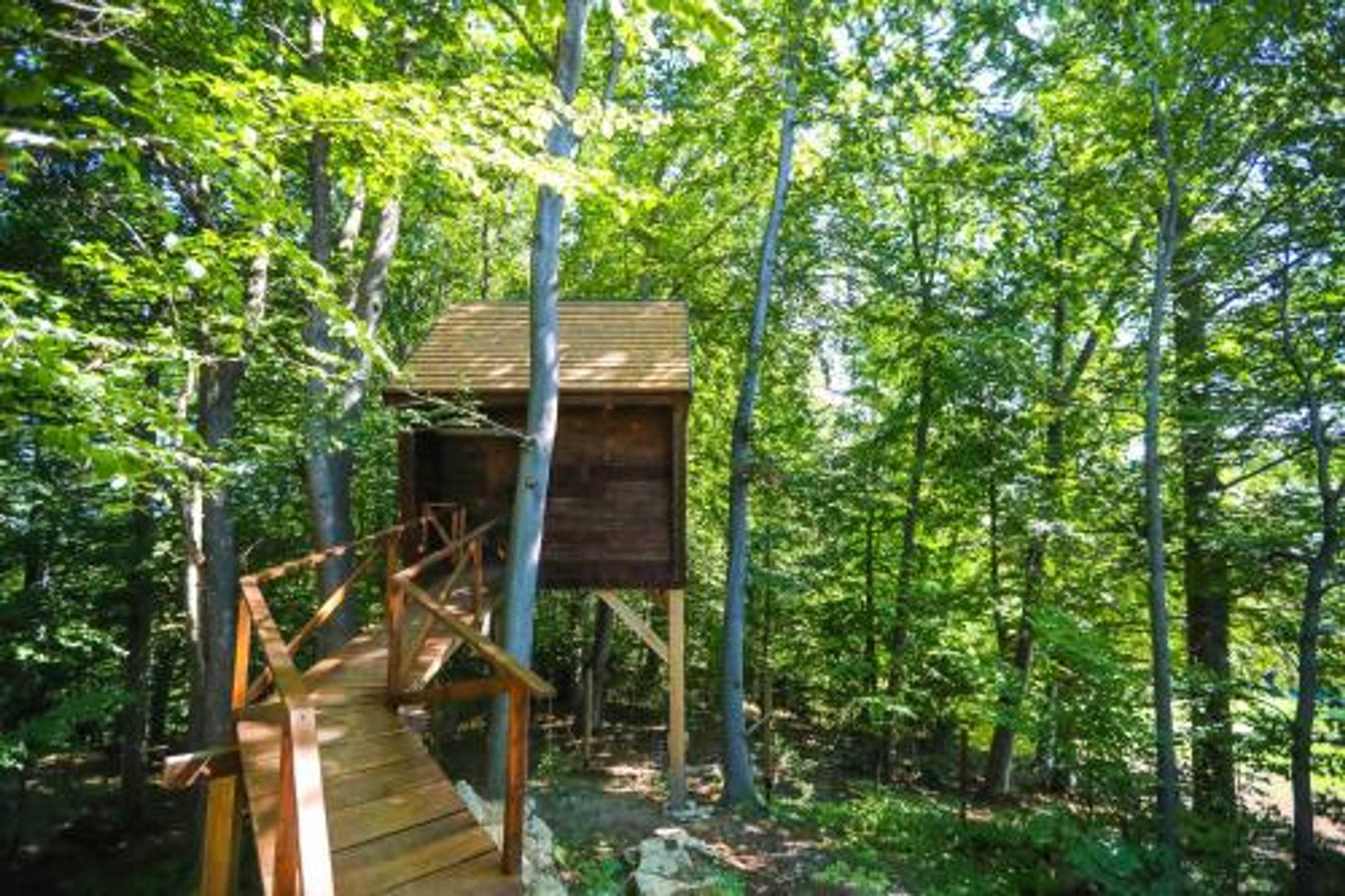 Gift card for Treehouse Na Škaluc Gift card for Treehouse Na Škaluc