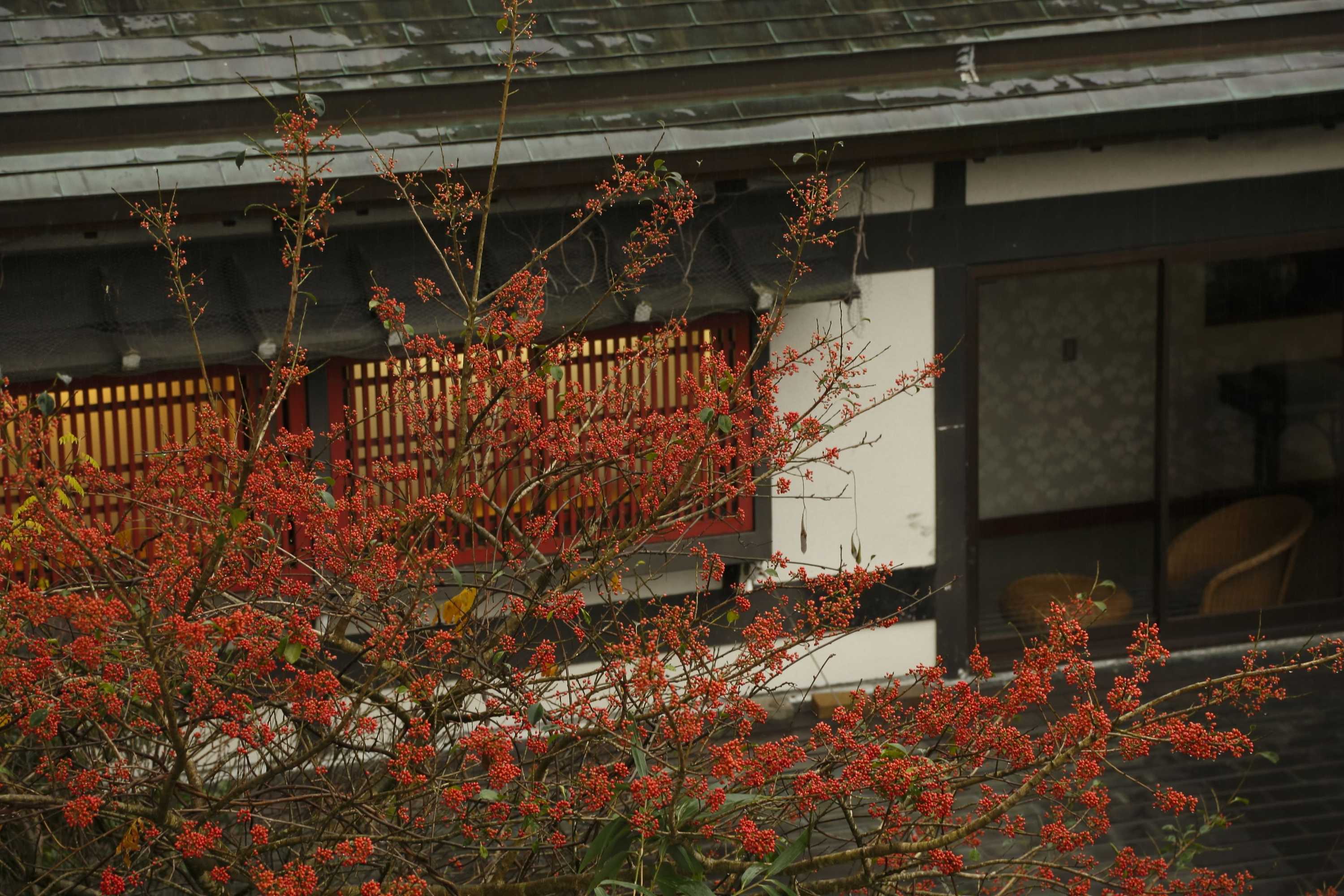 Gift card for Takeo Onsen Kyotoya Gift card for Takeo Onsen Kyotoya