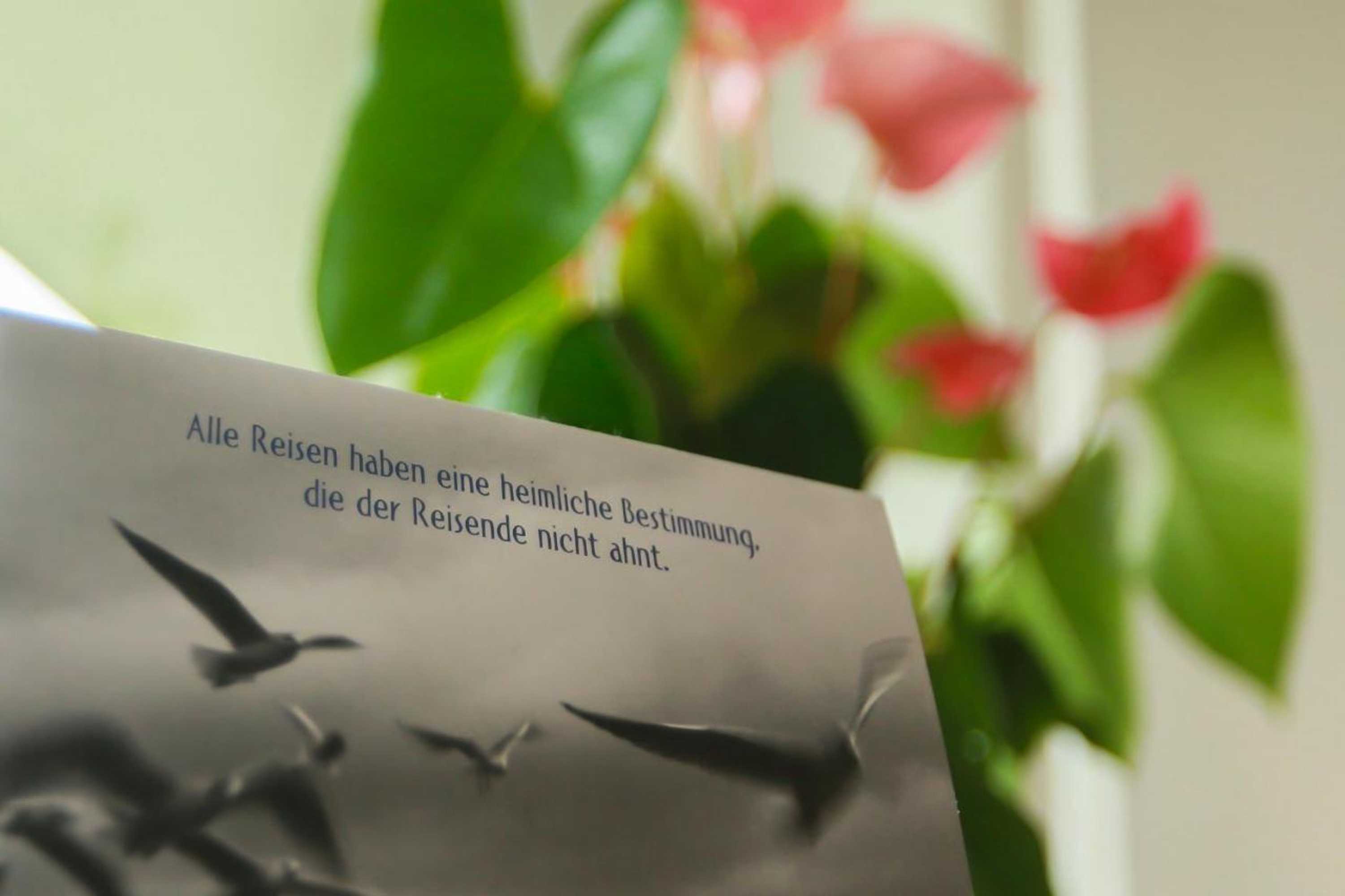 Gift card for Studio 14/2