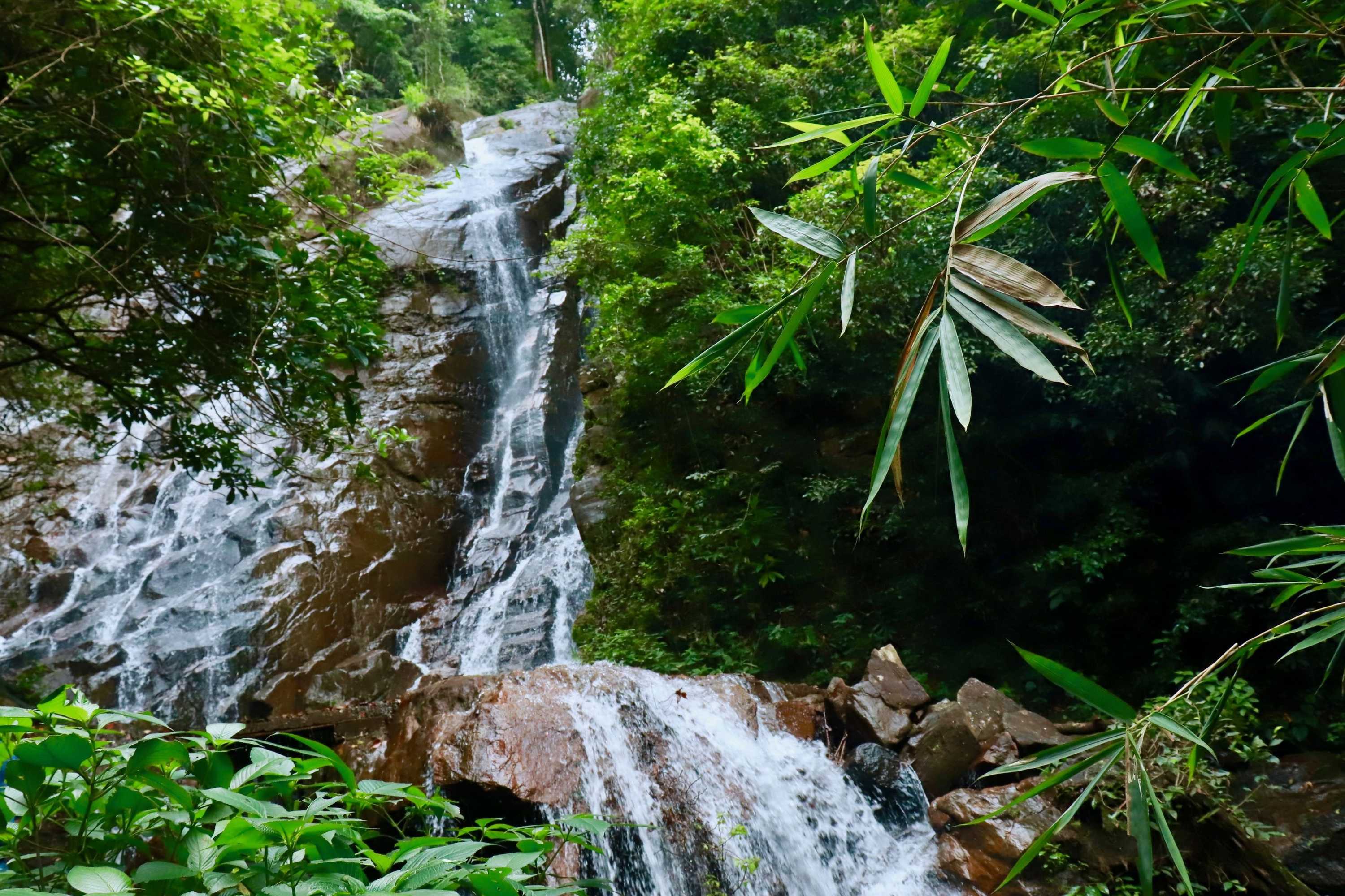 Gift card for Paradise Eco Garden