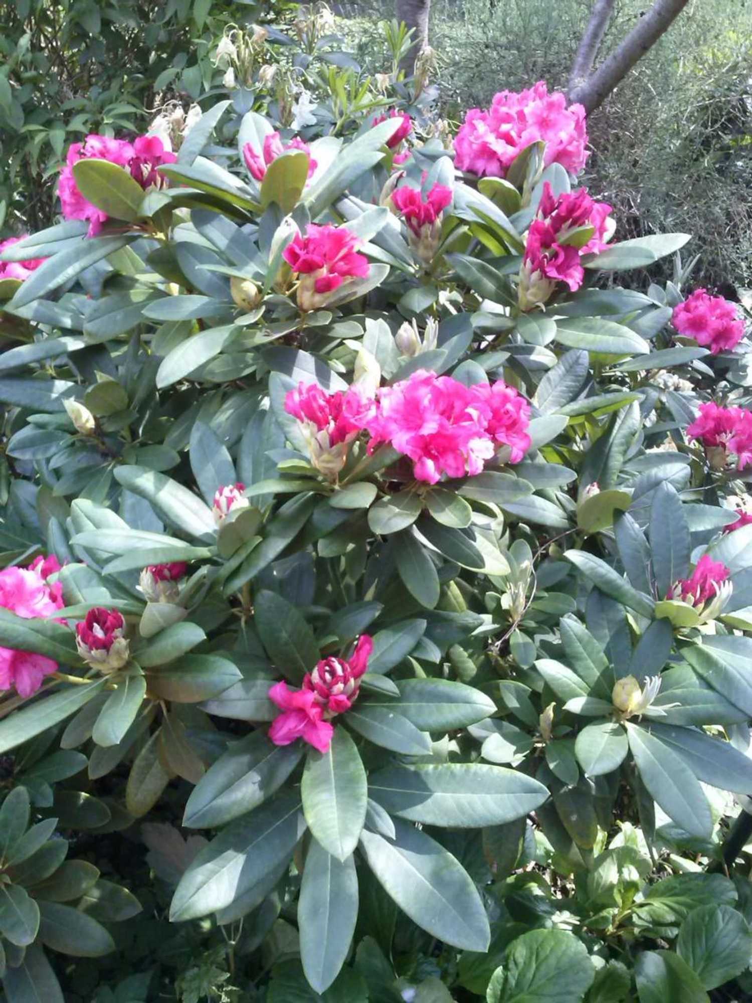 Gift card for Bnb de Rode Kamer