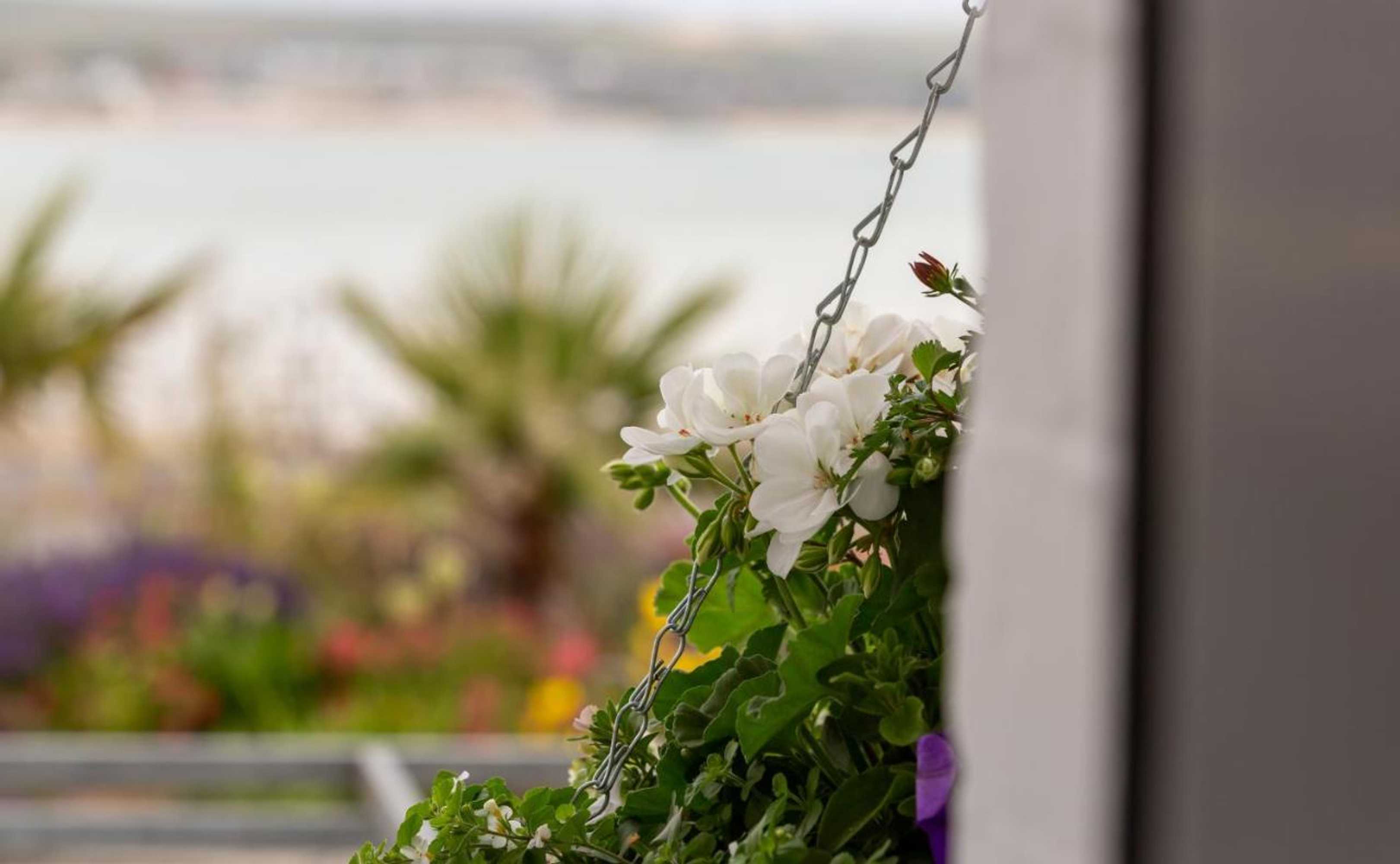 Gift card for The Roundhouse