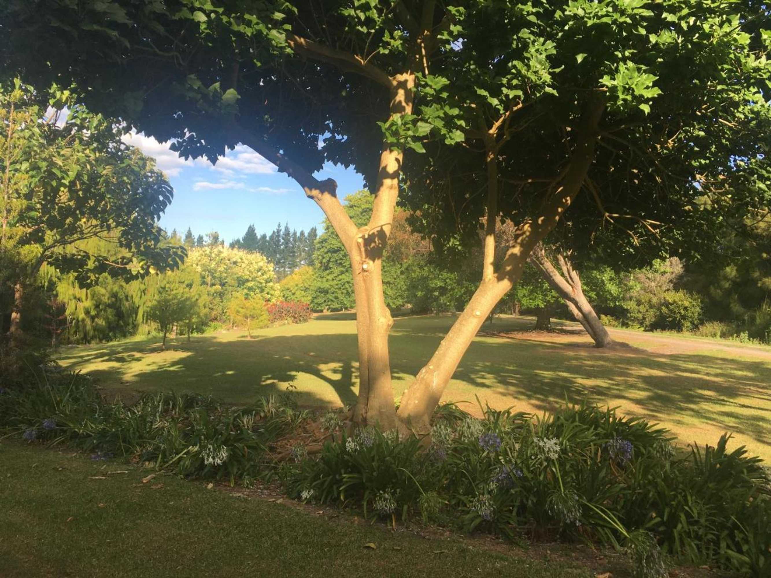 Gift card for Kerikeri Garden Homestead Gift card for Kerikeri Garden Homestead