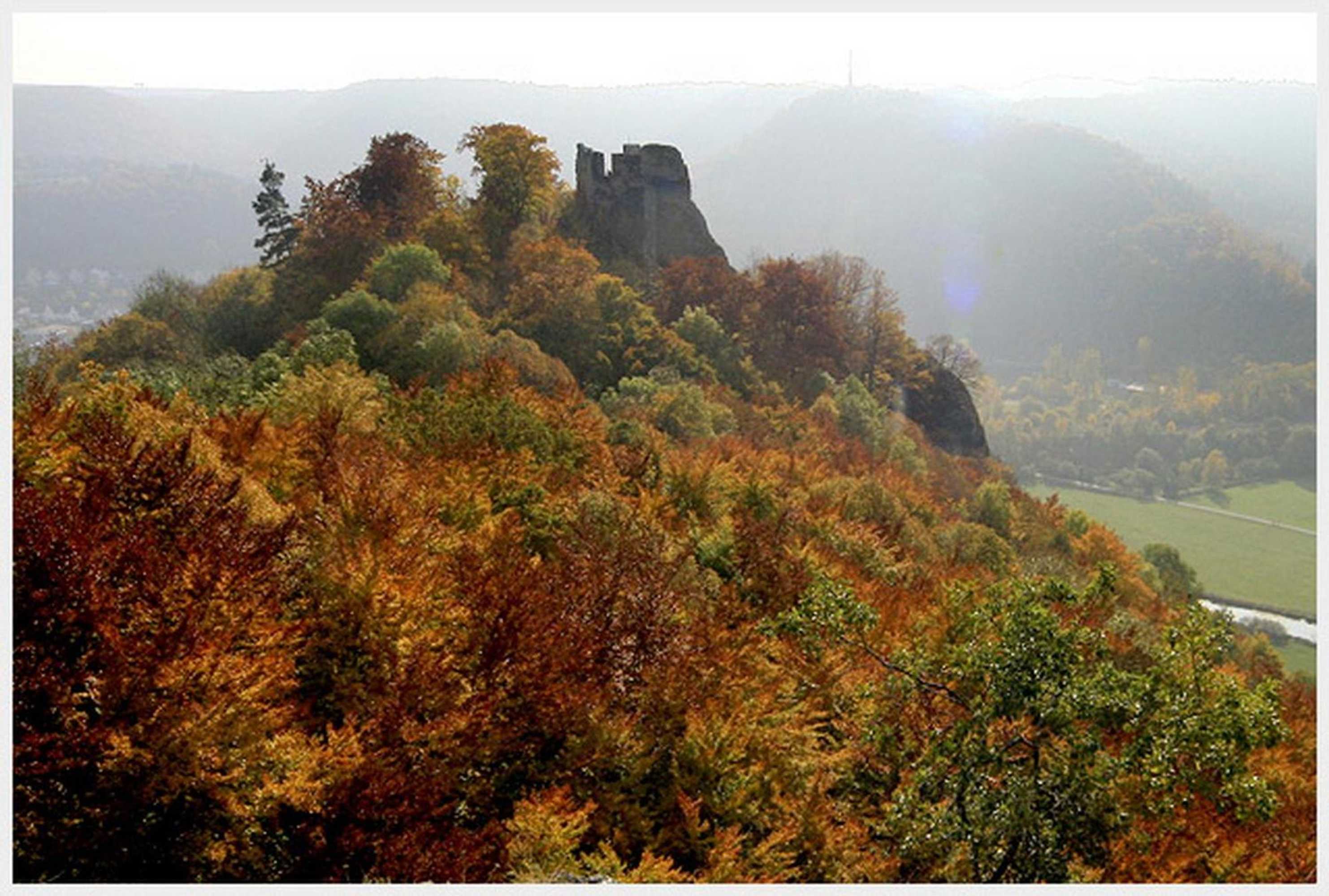 Gift card for Hotel-Restaurant Ochsen