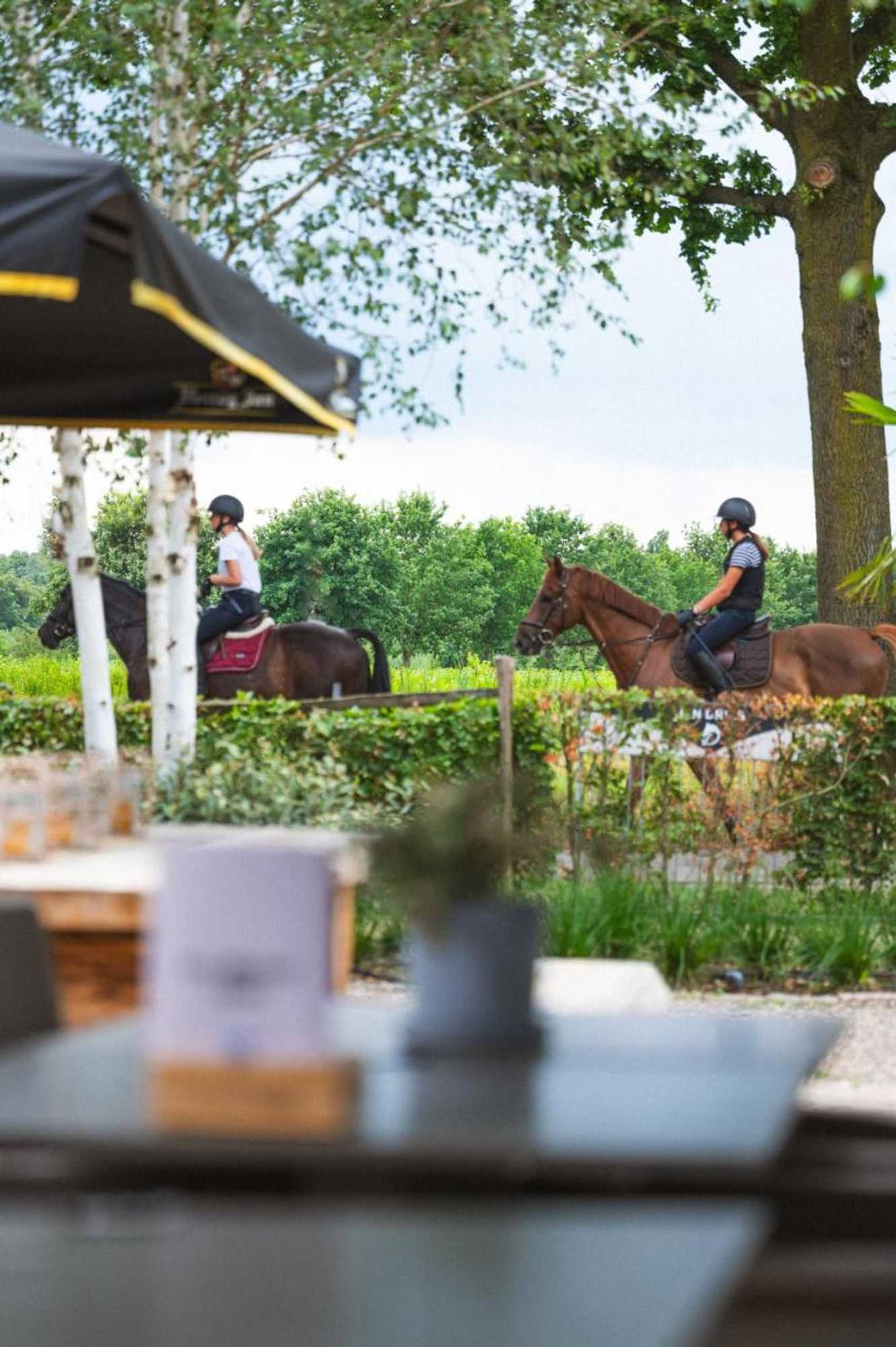 Gift card for Hotel Restaurant D'n Dries