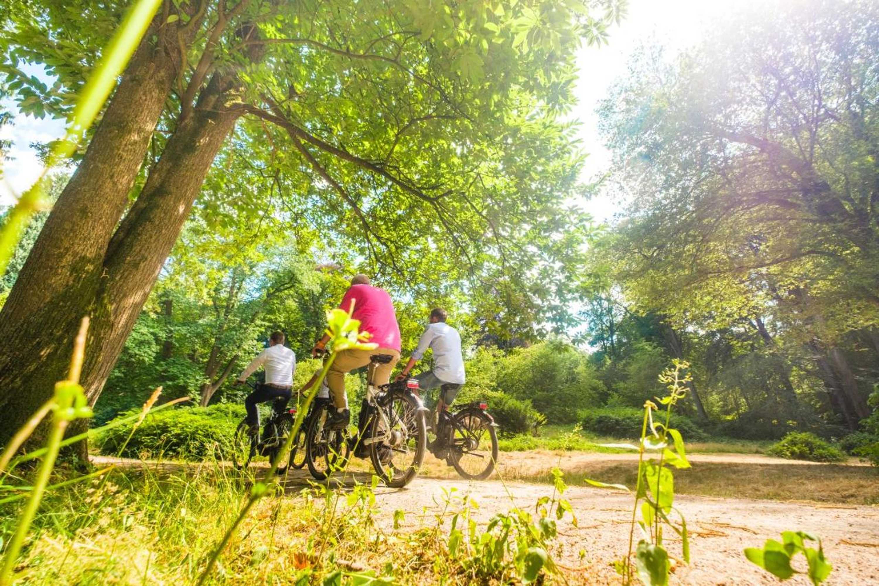 Gift card for Landgoed Rhederoord Nabij Arnhem