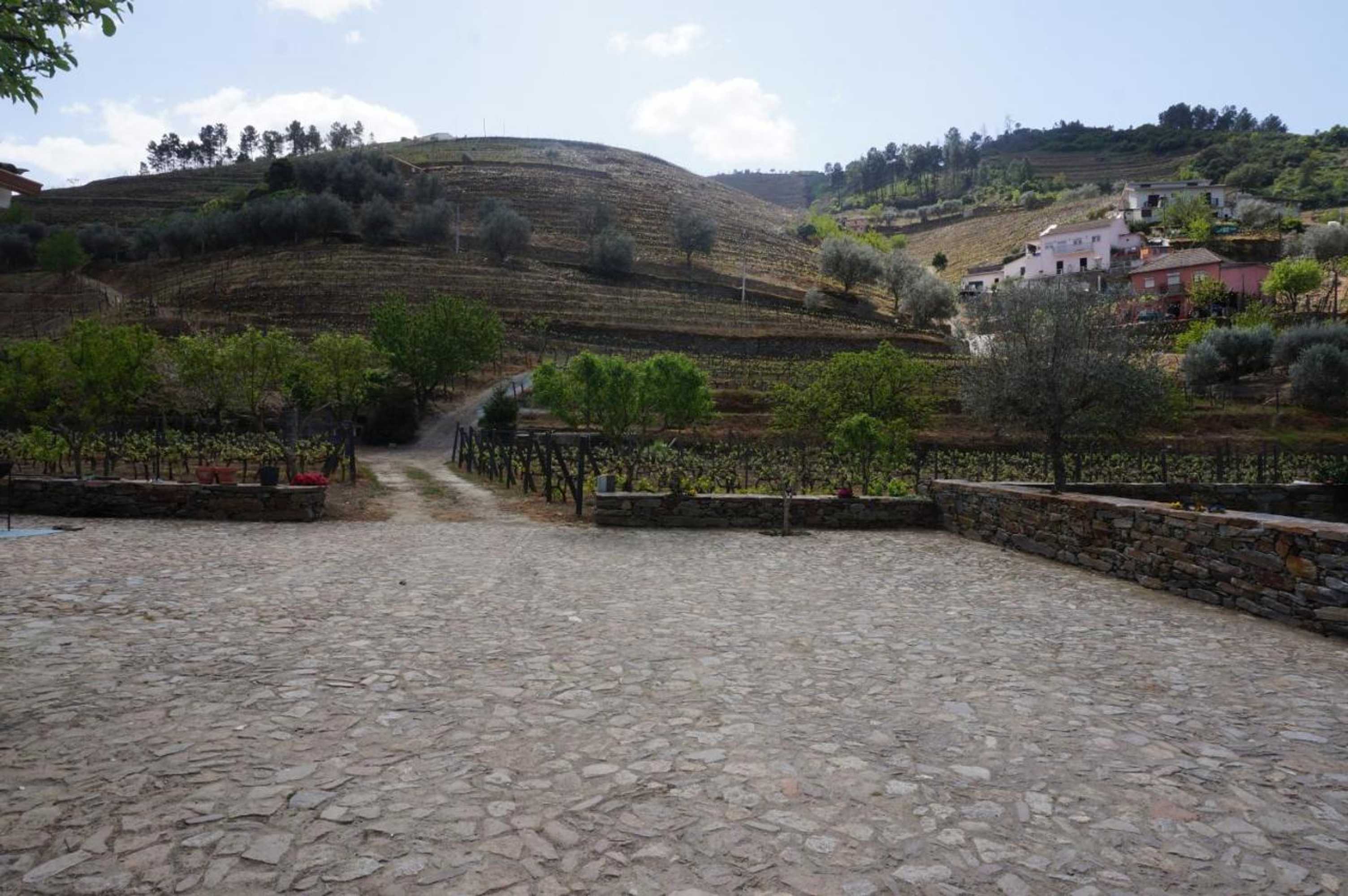 Gift card for Quinta Madureira