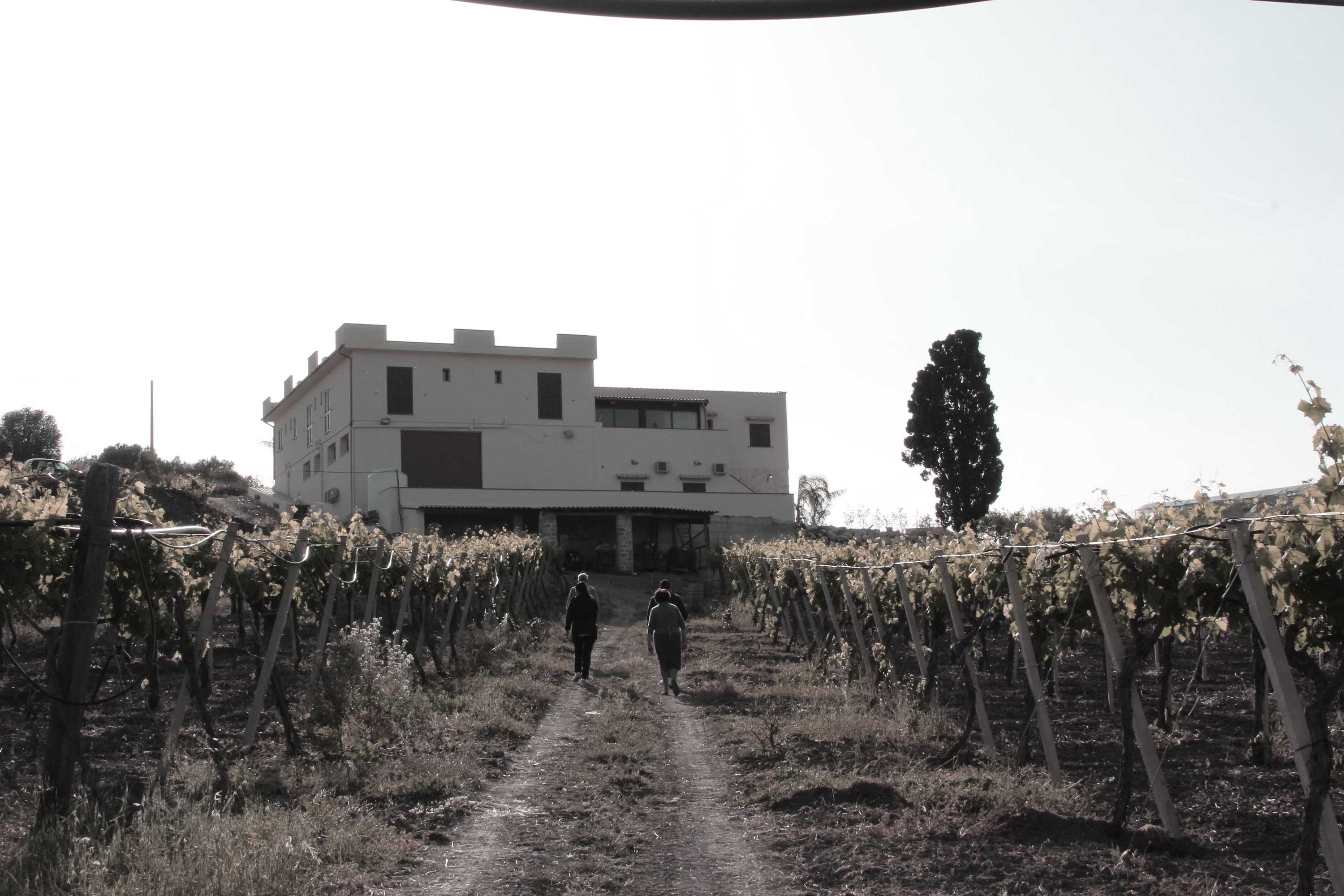 Gift card for Agriturismo La Casa di Bacco