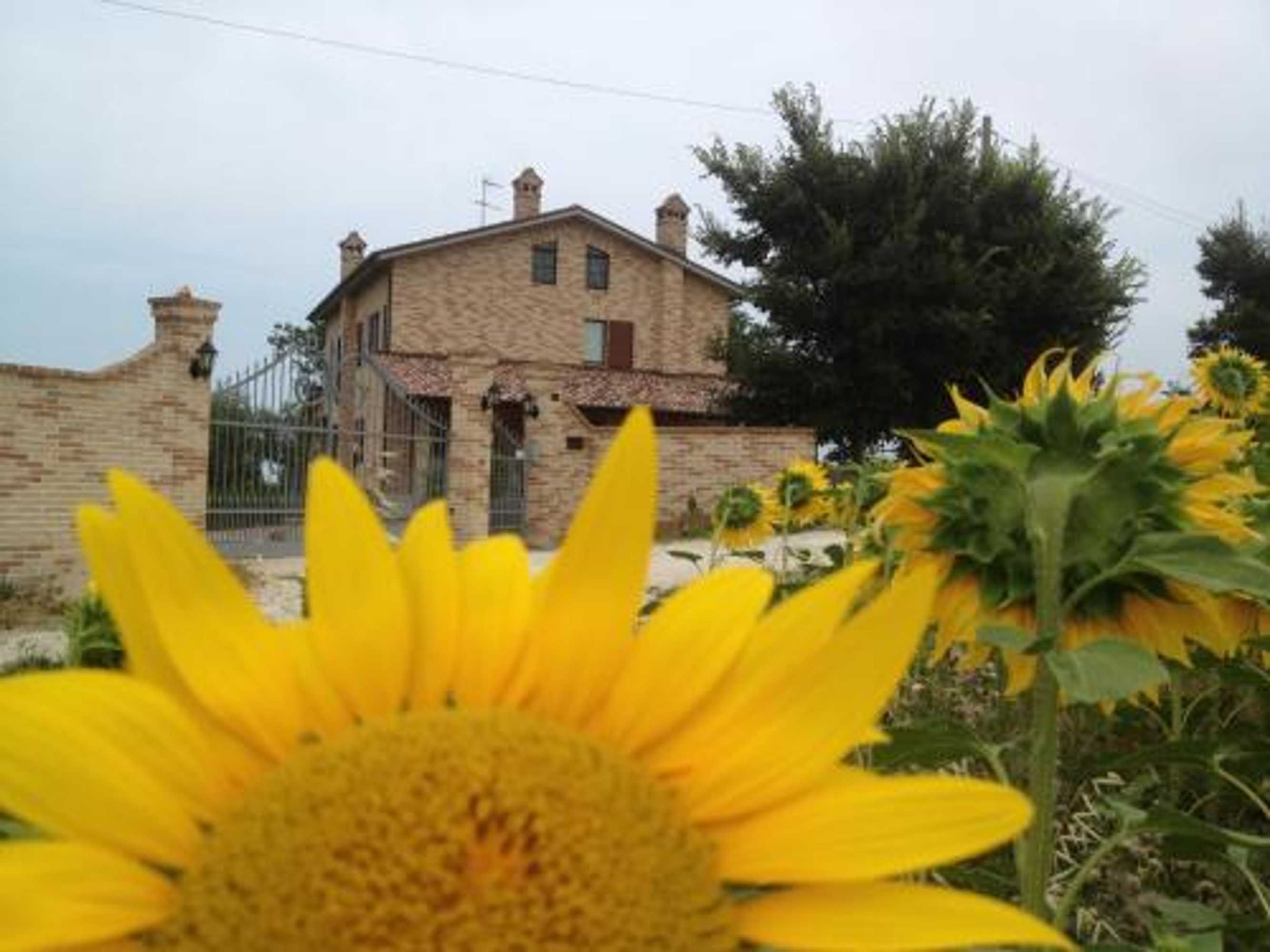 Gift card for Agriturismo Bio Verde Armonia Gift card for Agriturismo Bio Verde Armonia