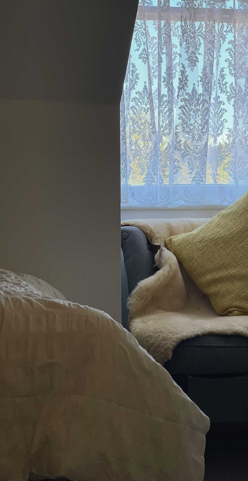 Gift card for Cambridge House Breakfast & Bed Gift card for Cambridge House Breakfast & Bed