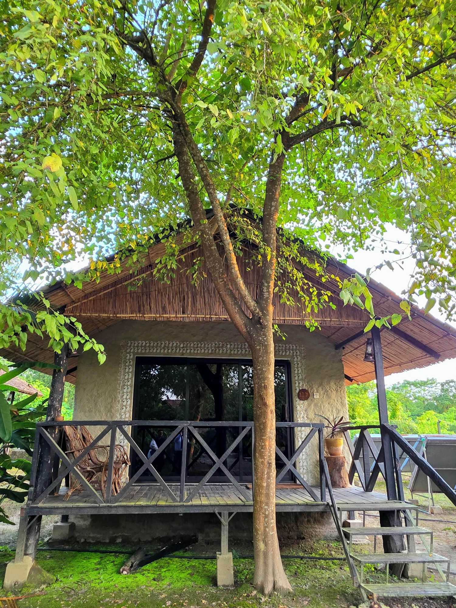 Gift card for Siddhartha Wildlife Retreat Gift card for Siddhartha Wildlife Retreat