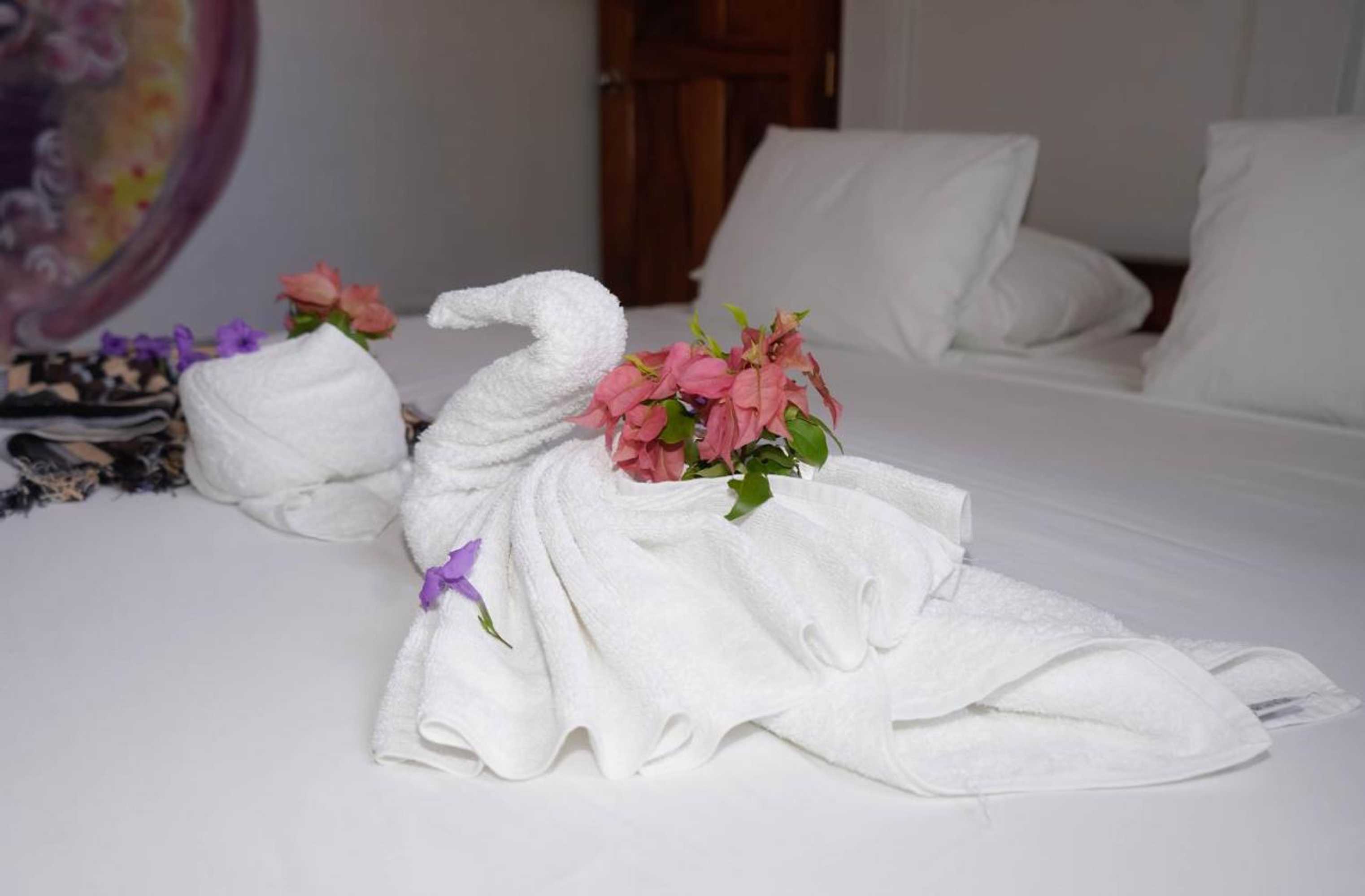 Gift card for Nuestra Casa Gift card for Nuestra Casa