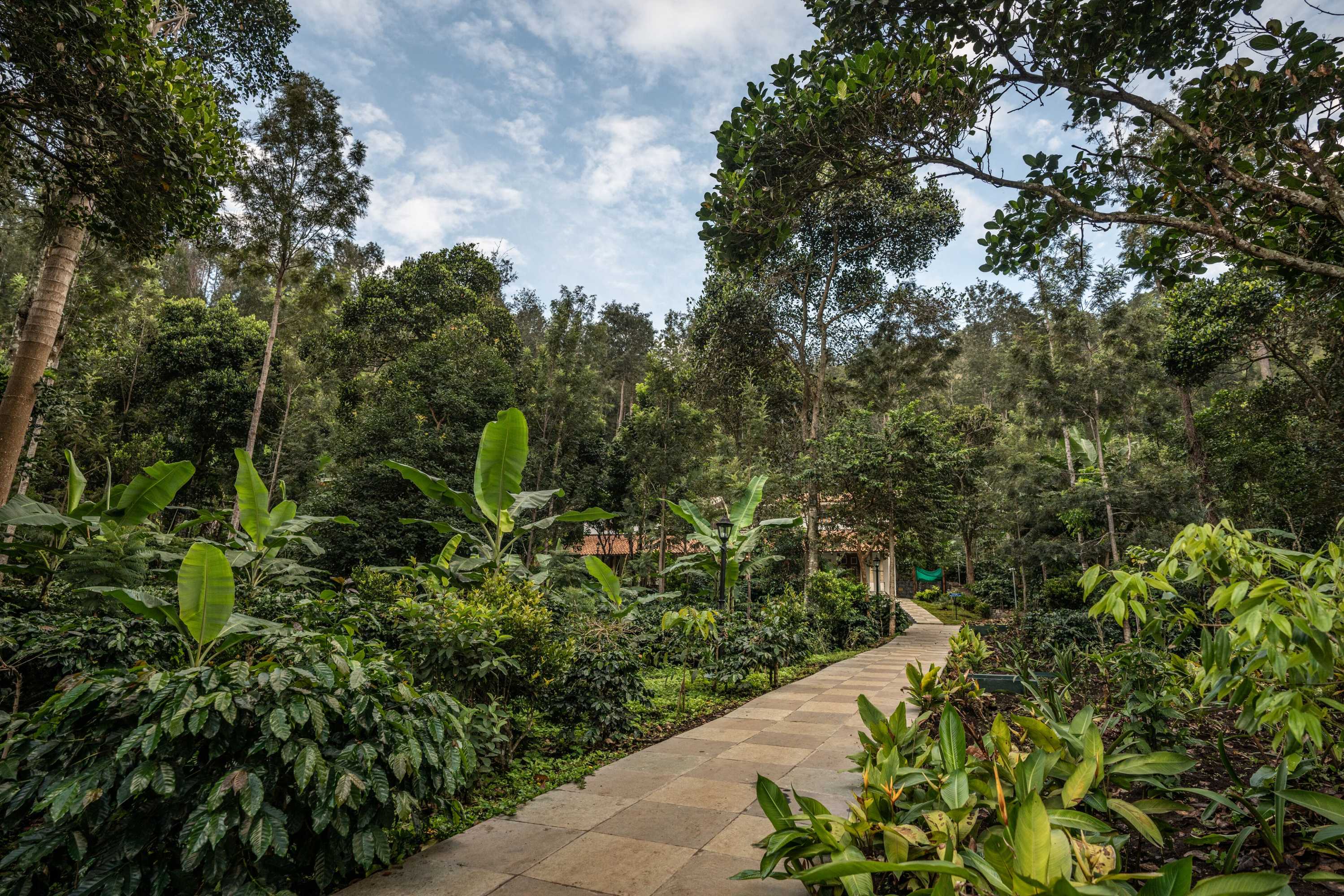 Gift card for Shambala Yercaud Gift card for Shambala Yercaud