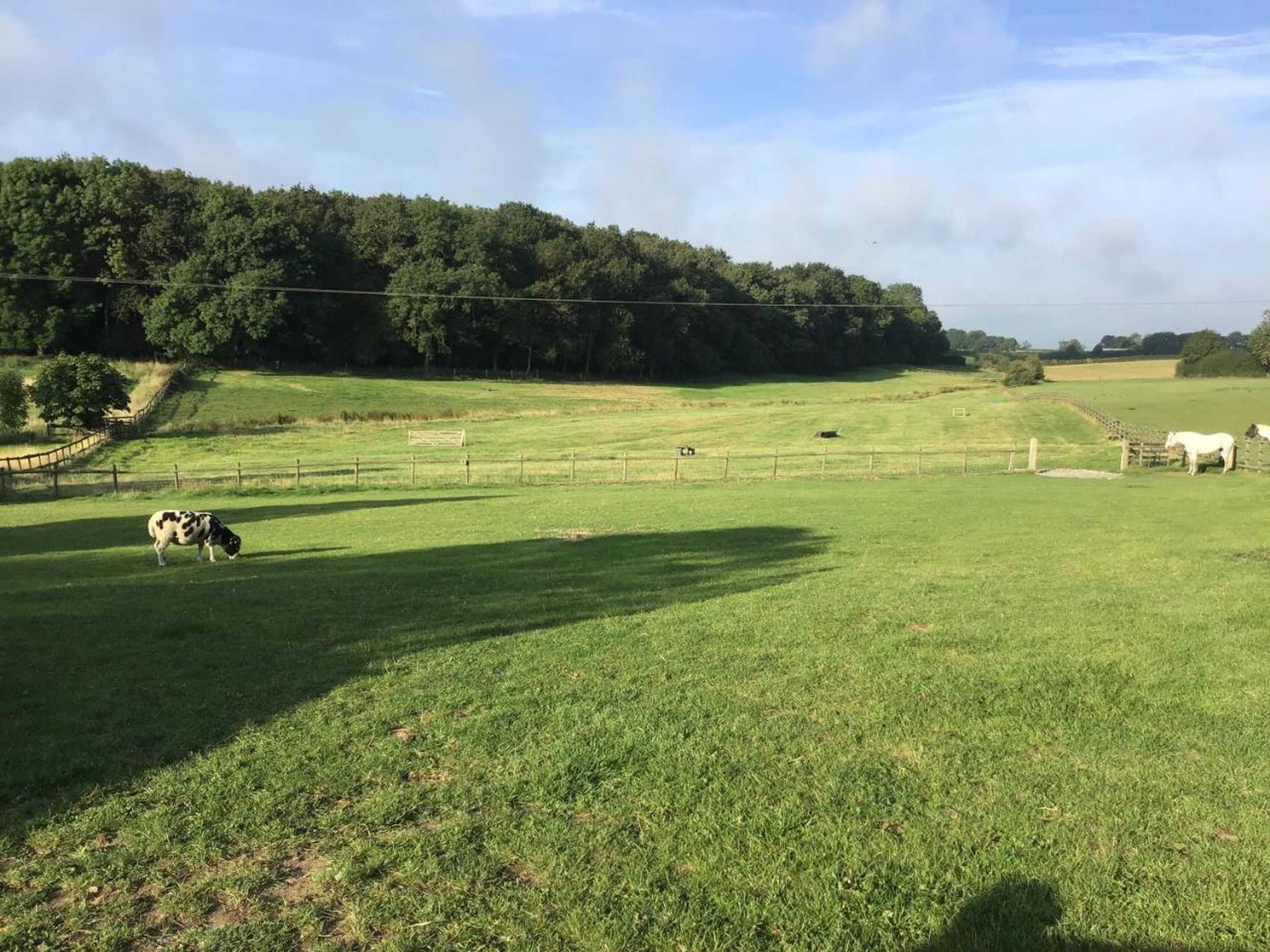 Gift card for The Grange Silverstone