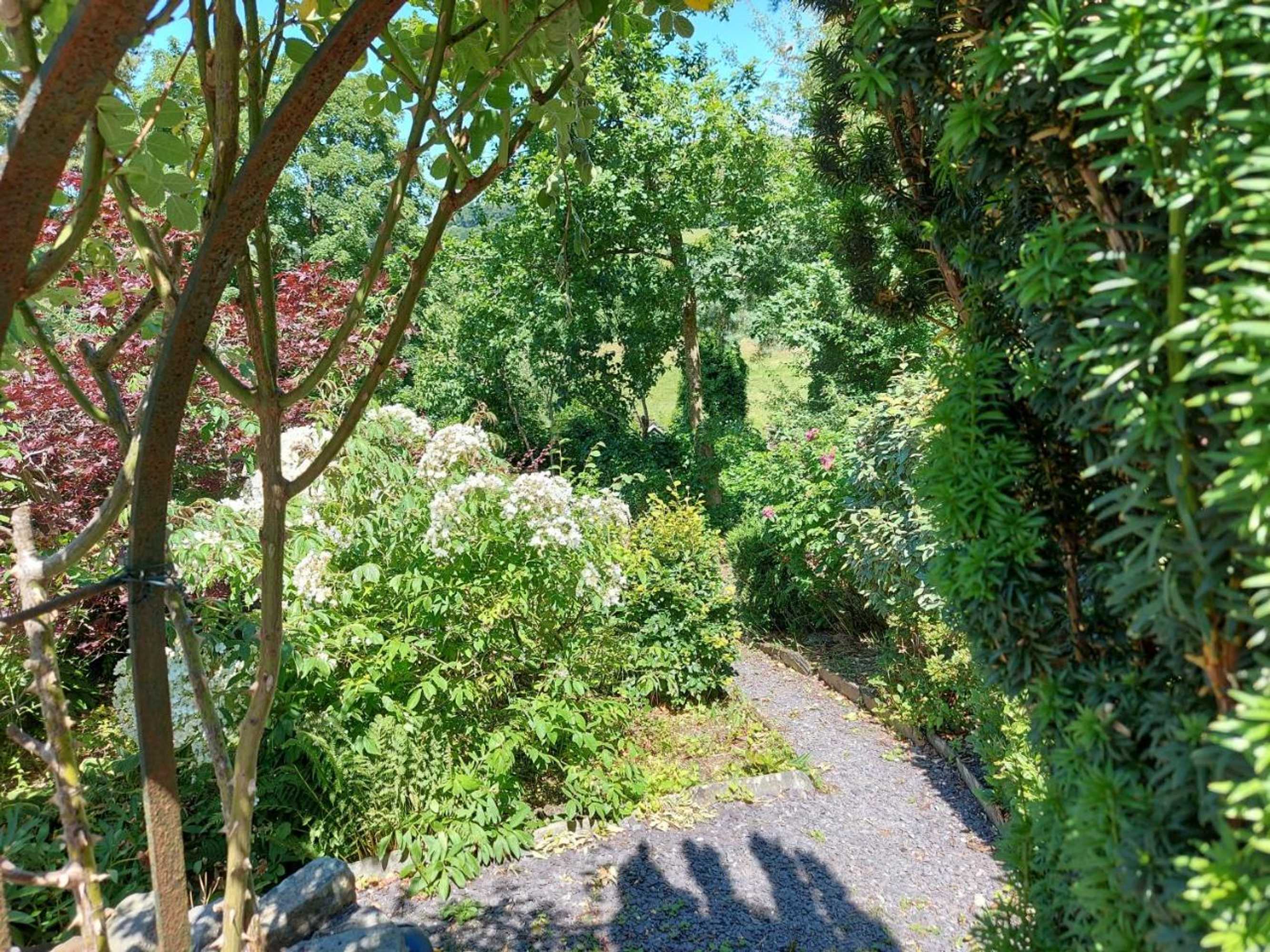 Gift card for Bron-Y-Graig