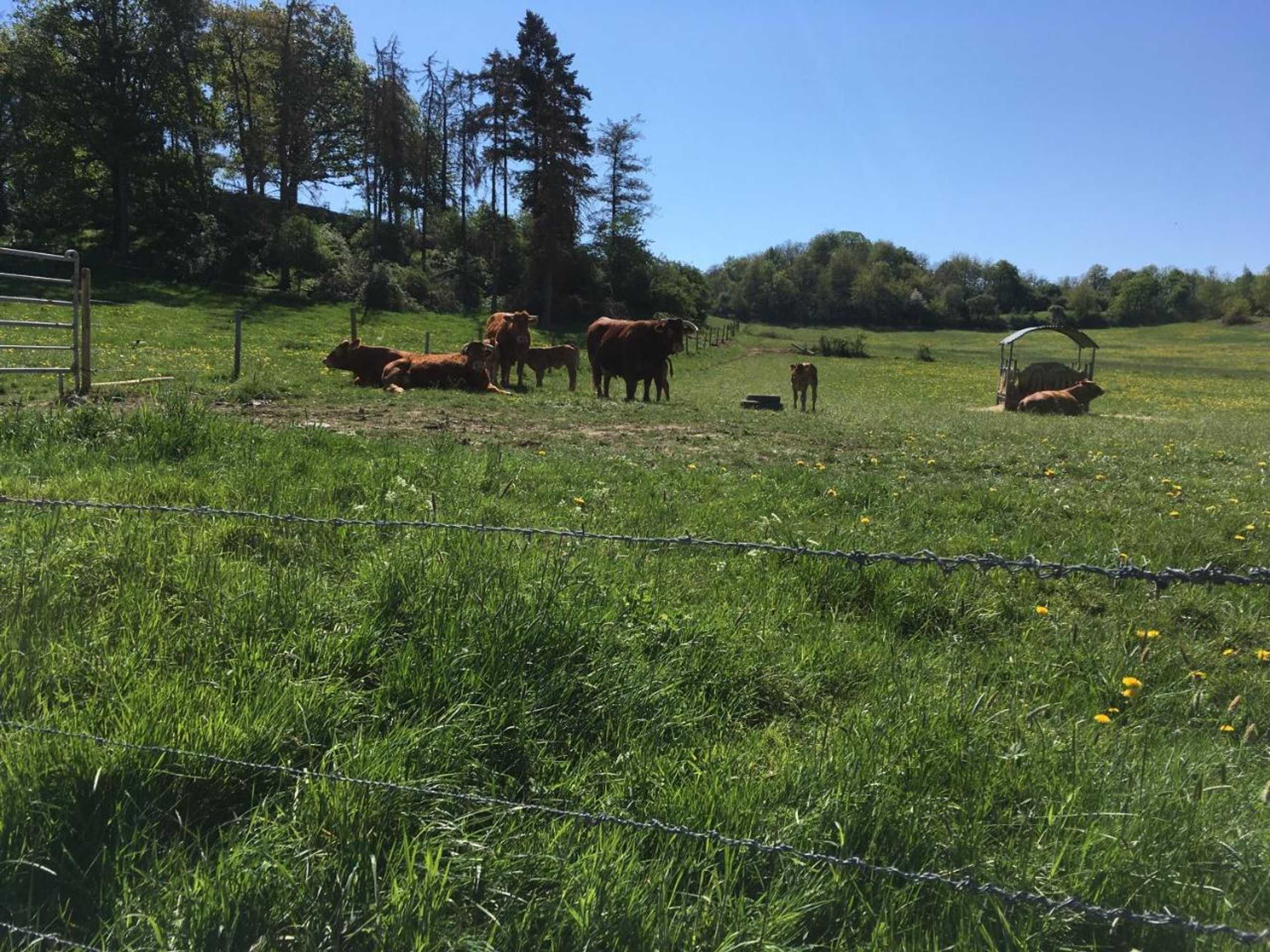 Gift card for Gaestehaus Klaus