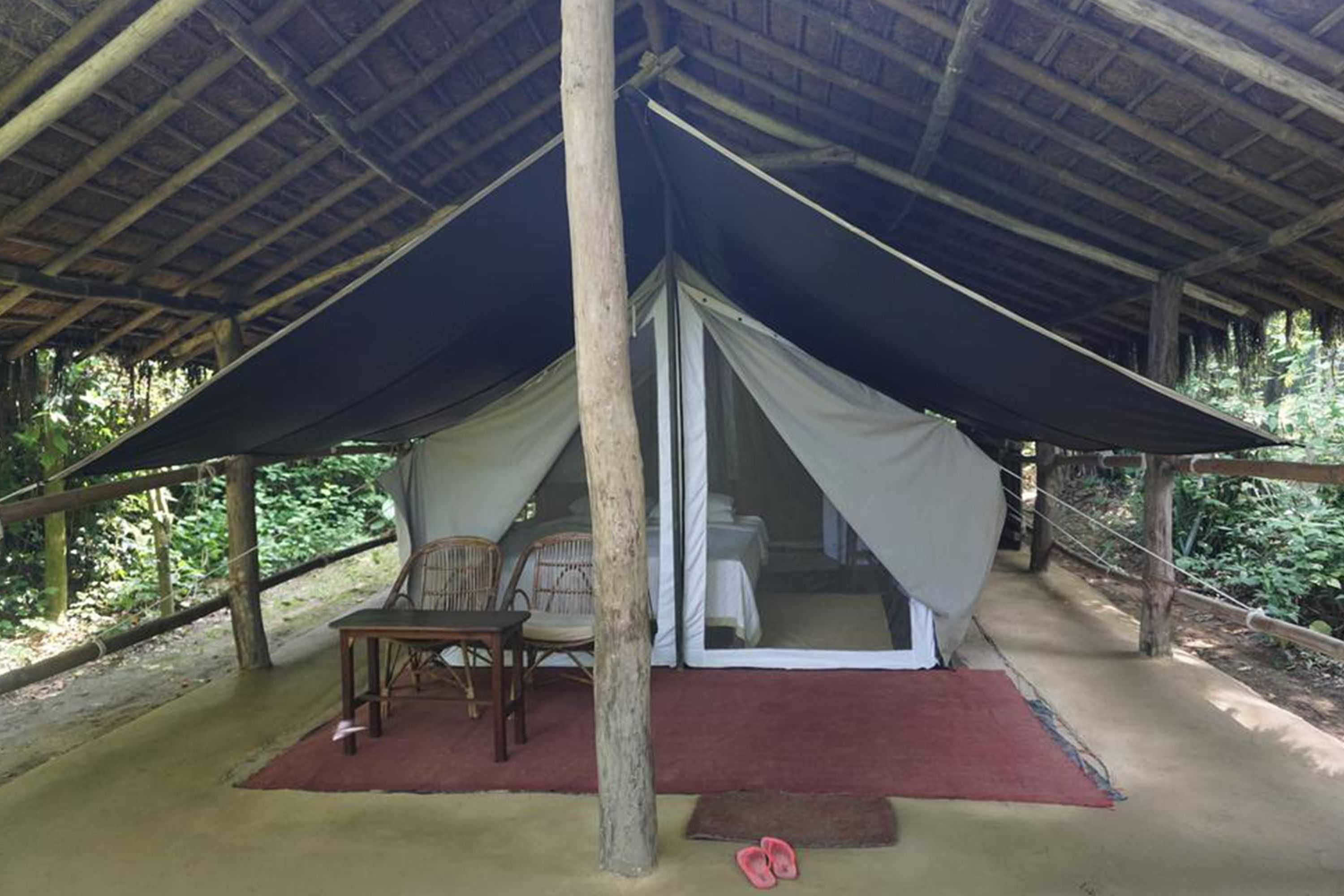 Gift card for Tiger Tops Tharu Lodge Gift card for Tiger Tops Tharu Lodge