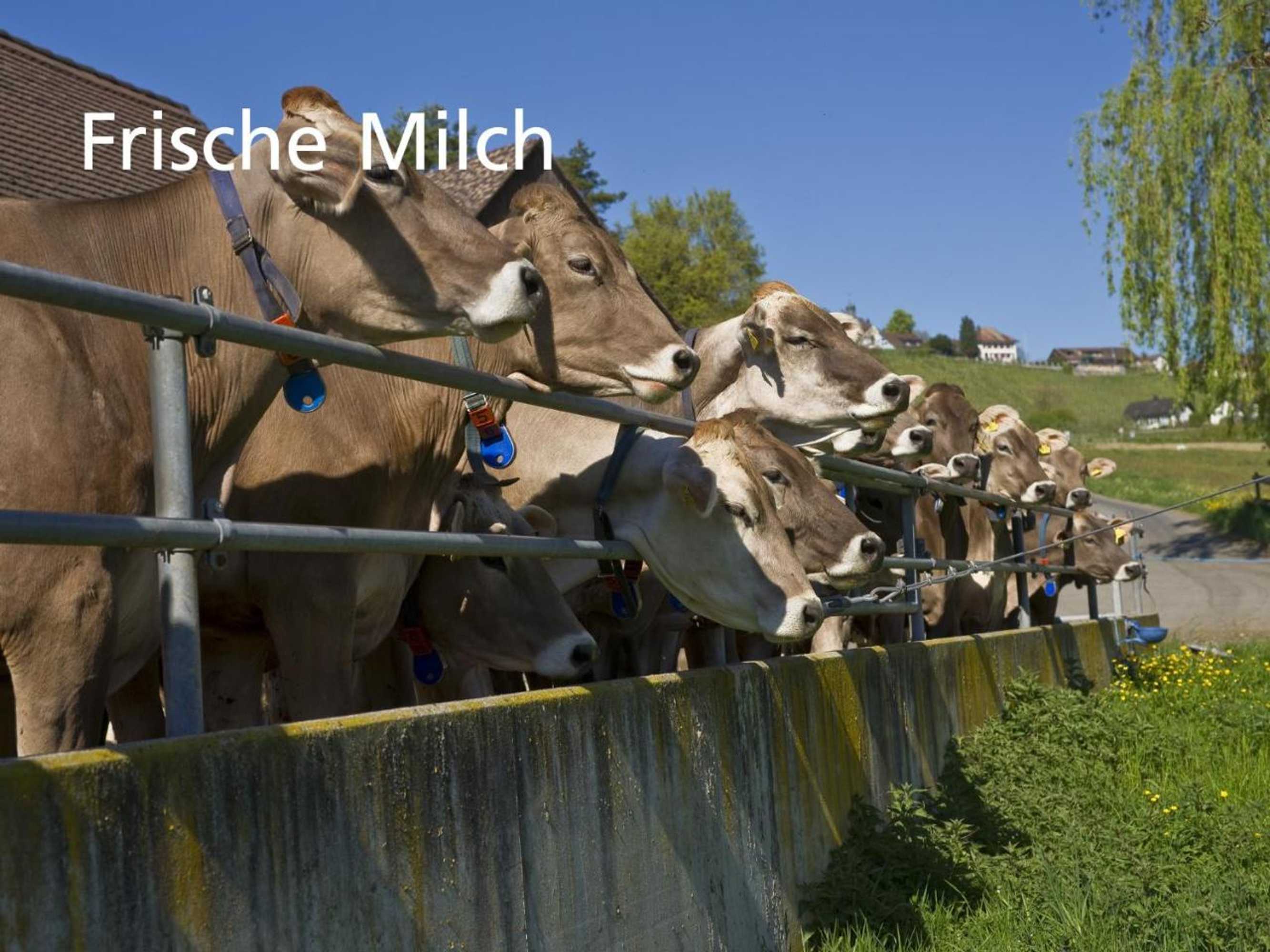 Gift card for Stiftung Kartause Ittingen