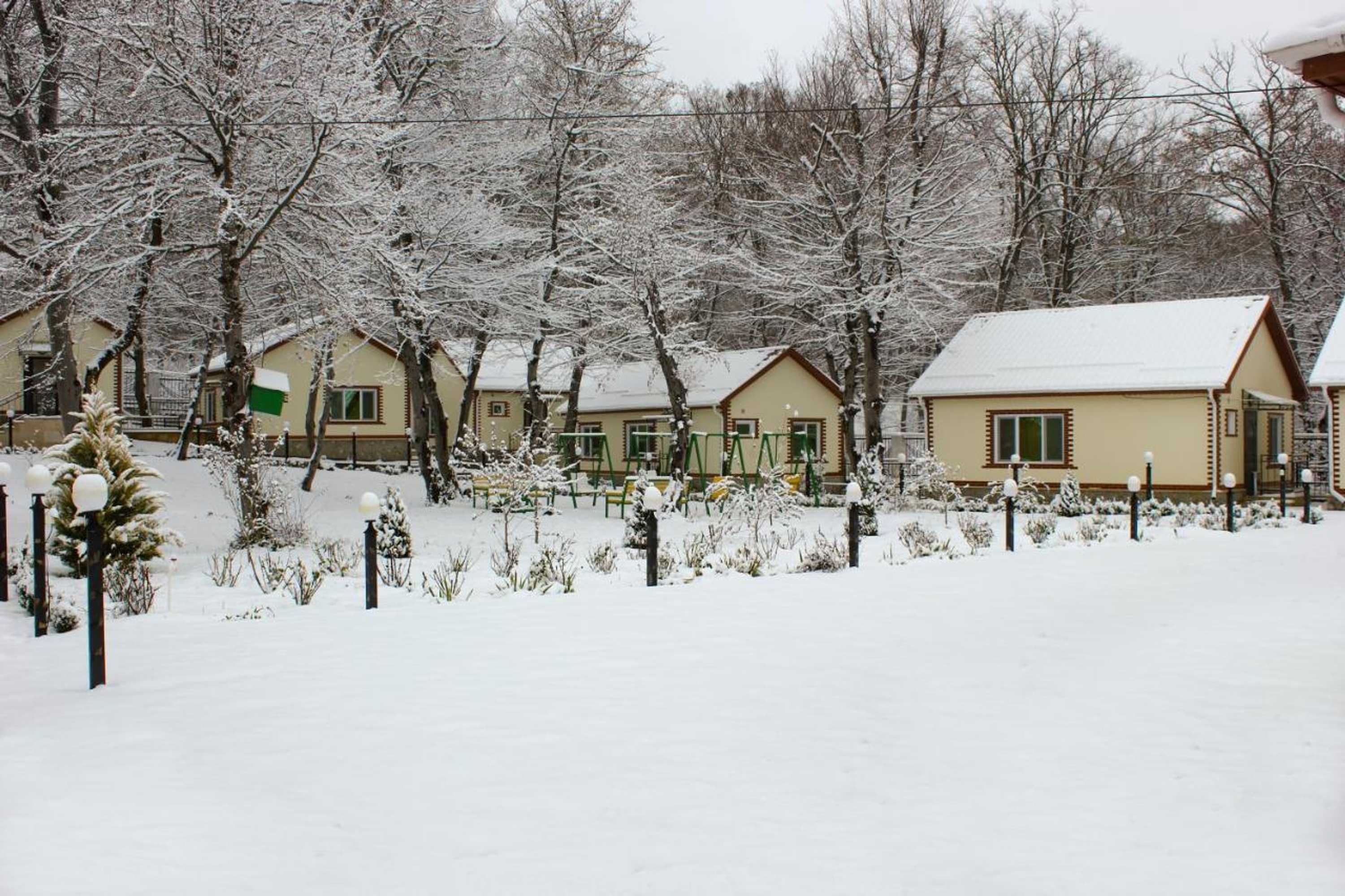 Gift card for Selena