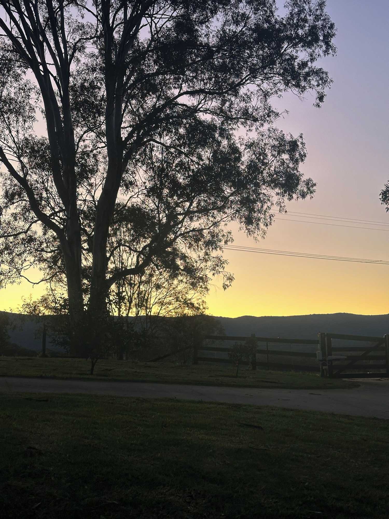 Gift card for Blueberry Hills On Comleroy Farmstay - B&b And Self-Contained Cottages