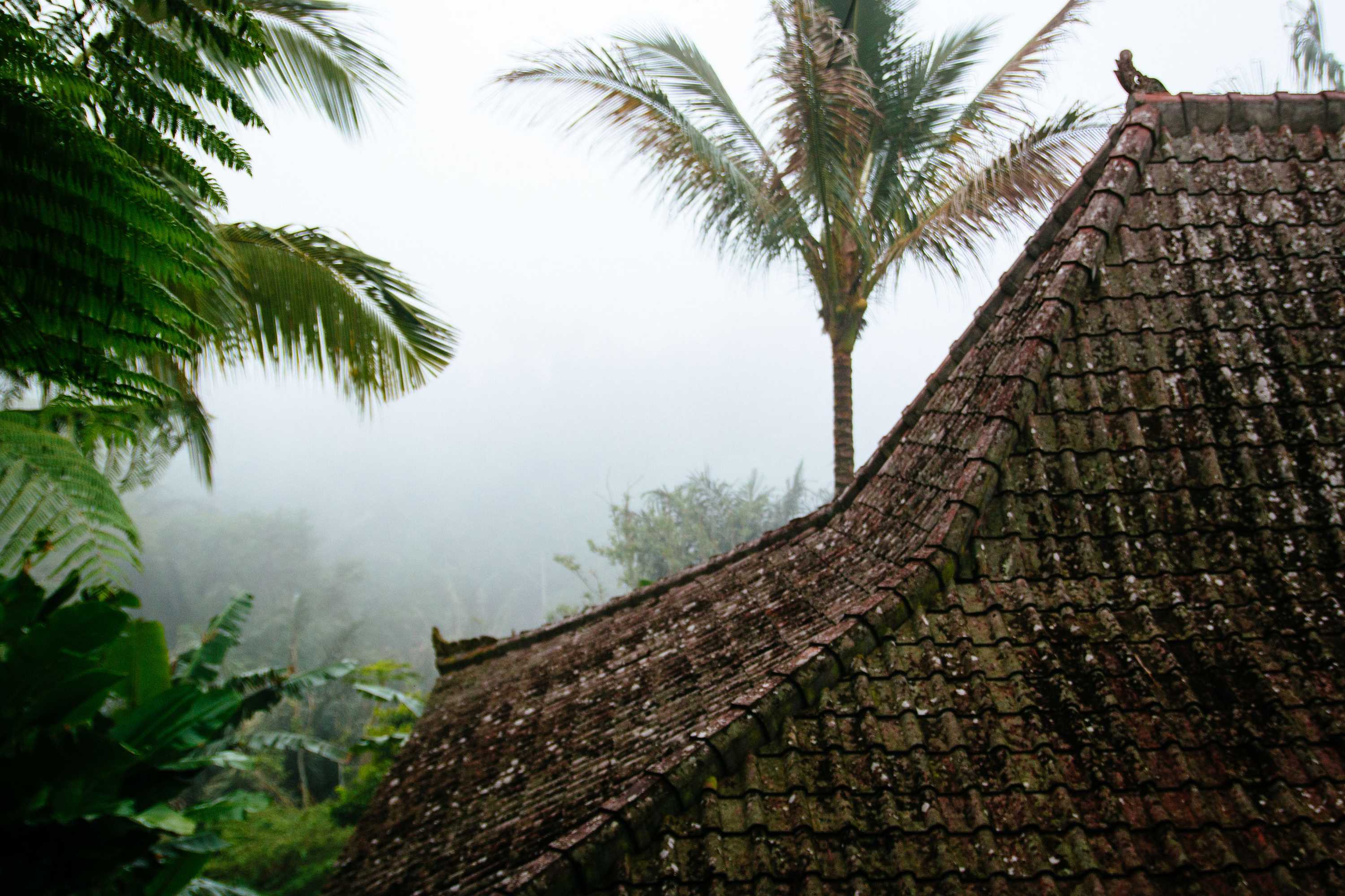 Gift card for Alassari Plantation