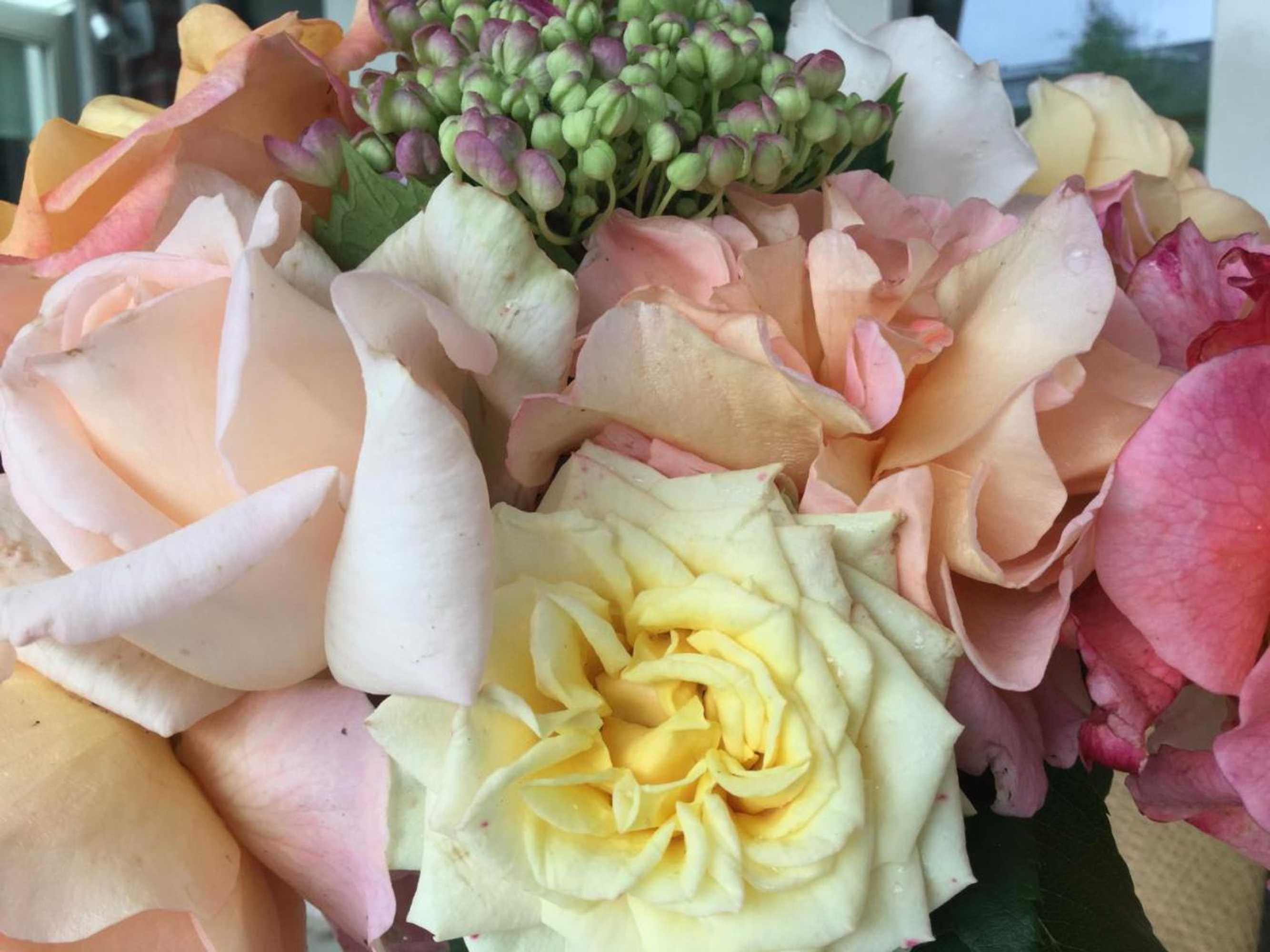 Gift card for B&b Lux Schijndel