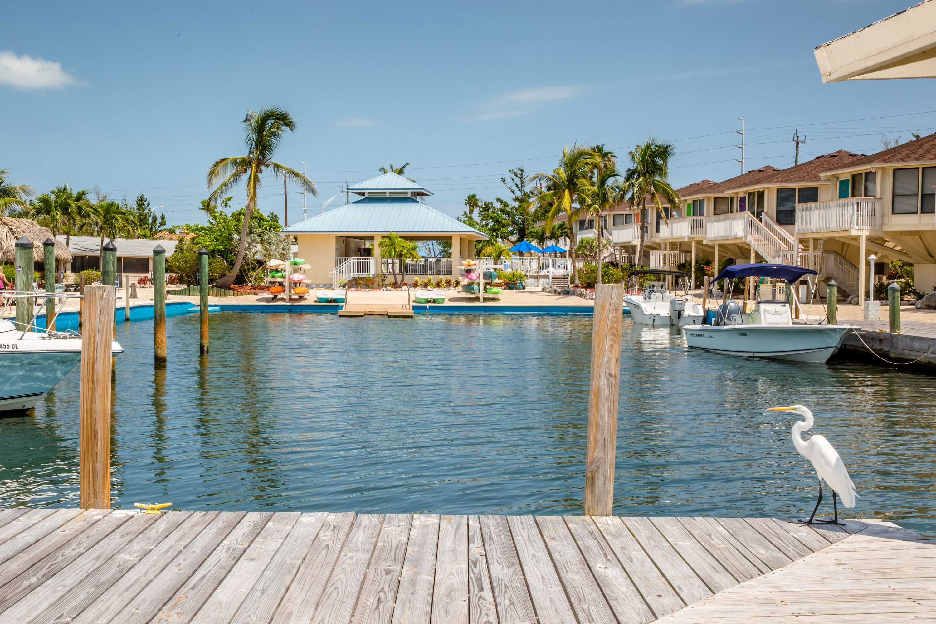 Gift card for The Reef at Marathon, Florida Keys Gift card for The Reef at Marathon, Florida Keys