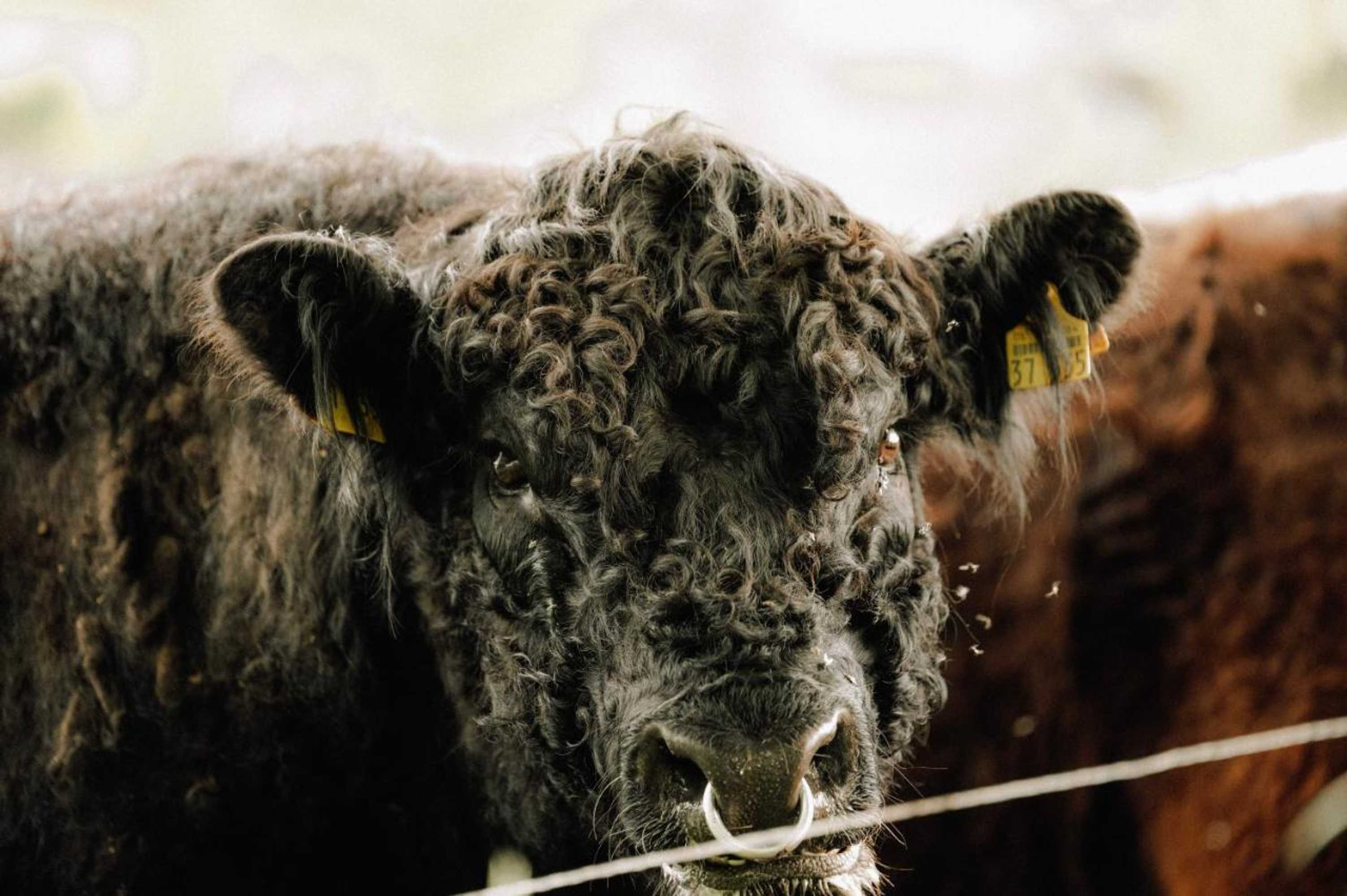 Gift card for Schöne Aussicht