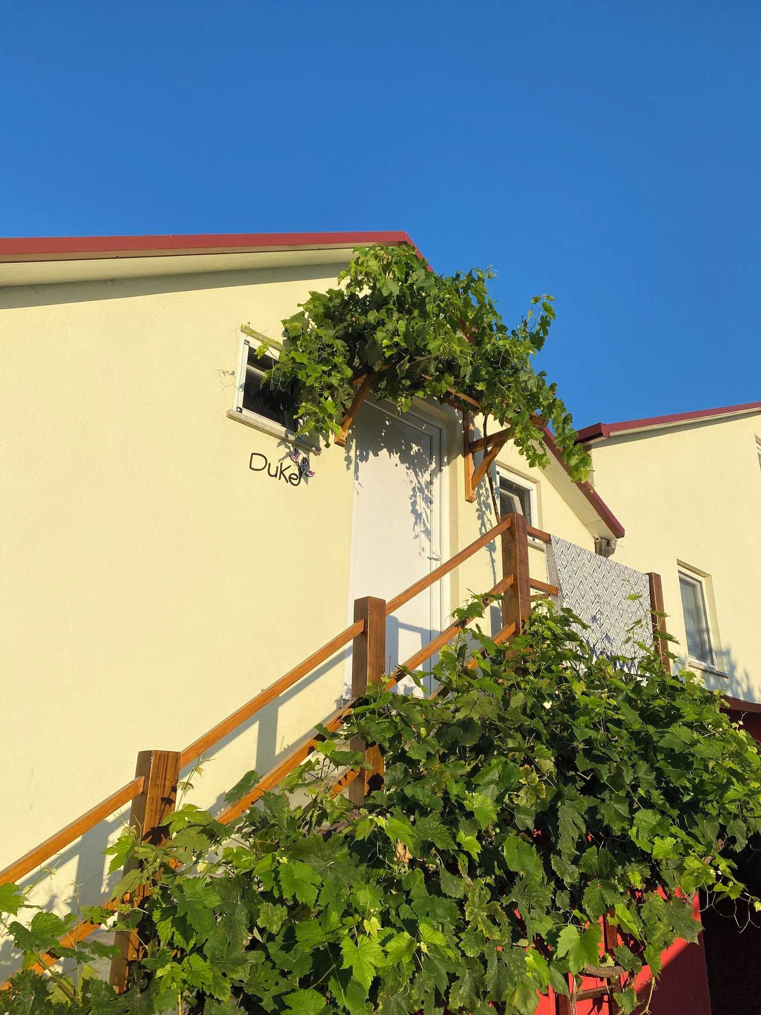 Gift card for Quinta Vale Salgueiro