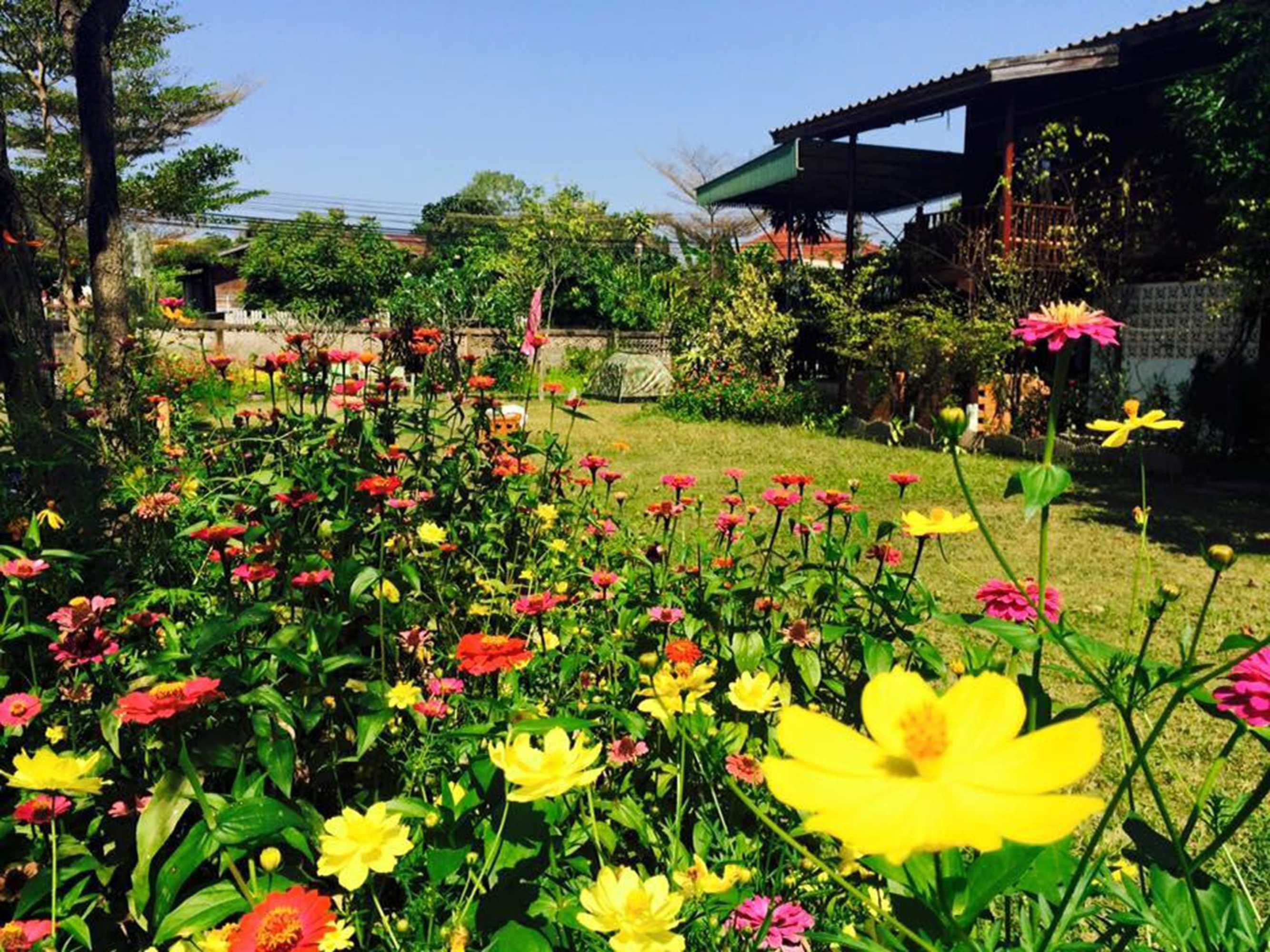Gift card for Diamond Homestay Nan