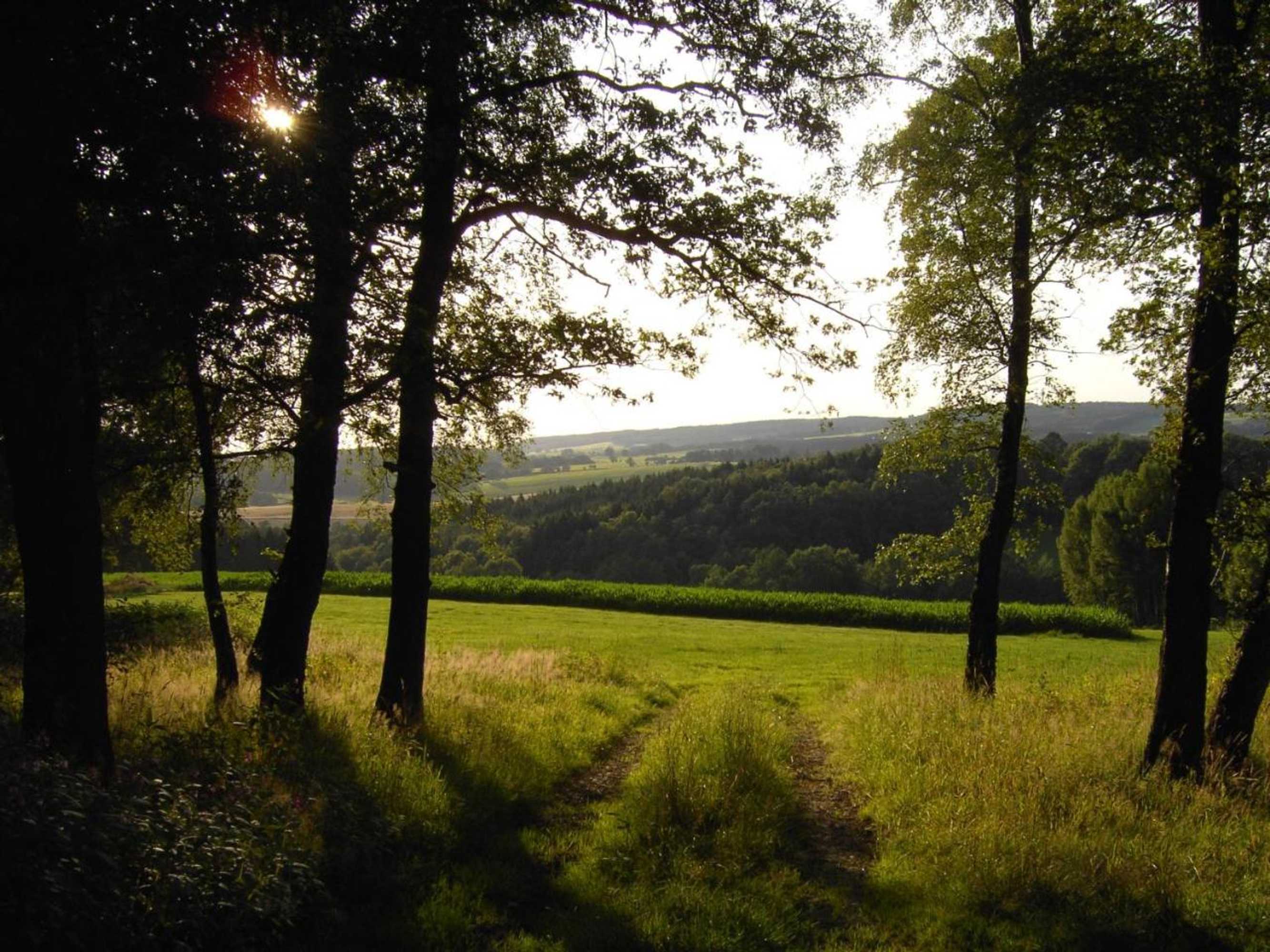 Gift card for Stöltings Landhaus