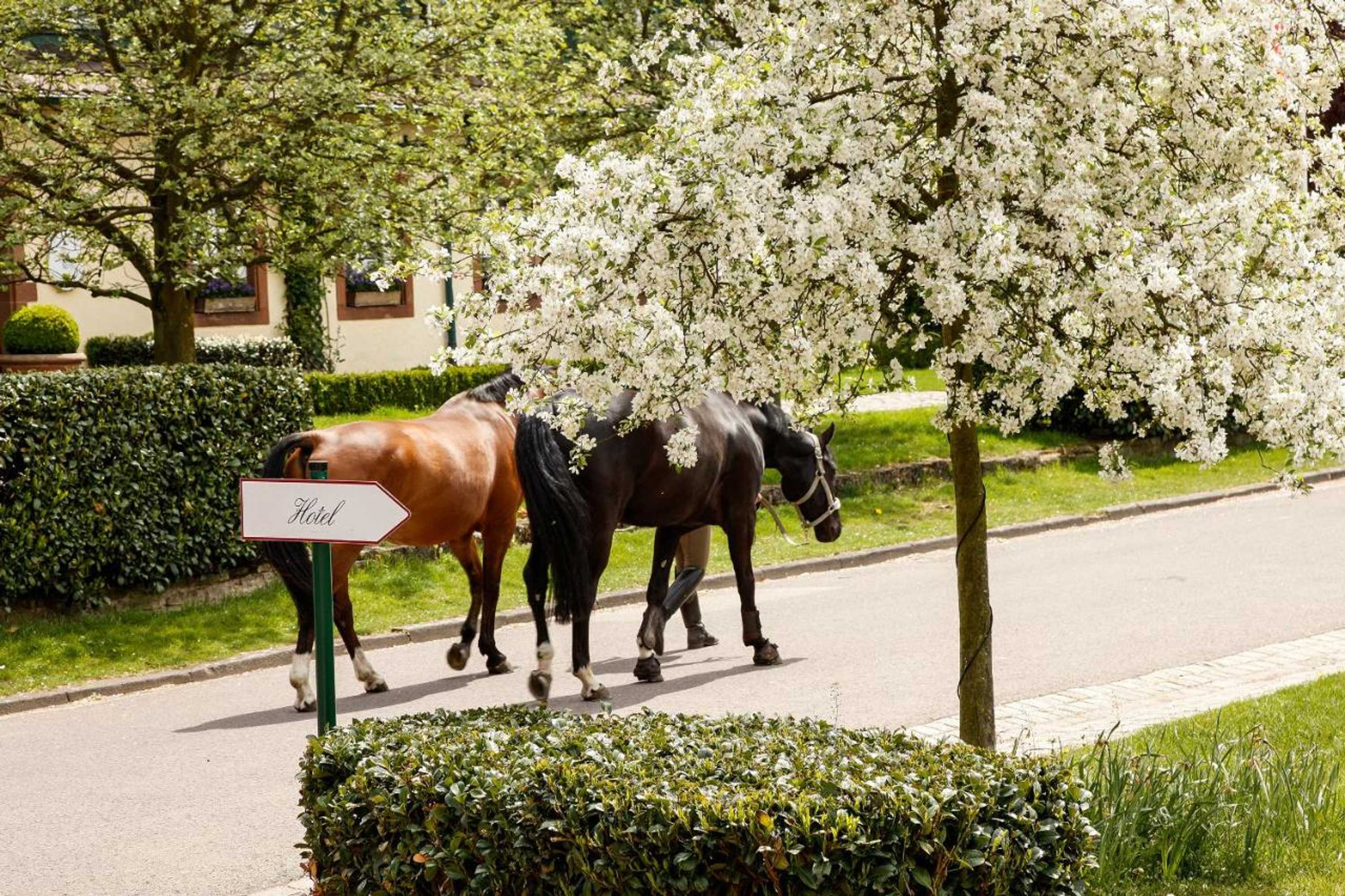 Gift card for Der Linslerhof - Hotel, Restaurant, Events & Natur