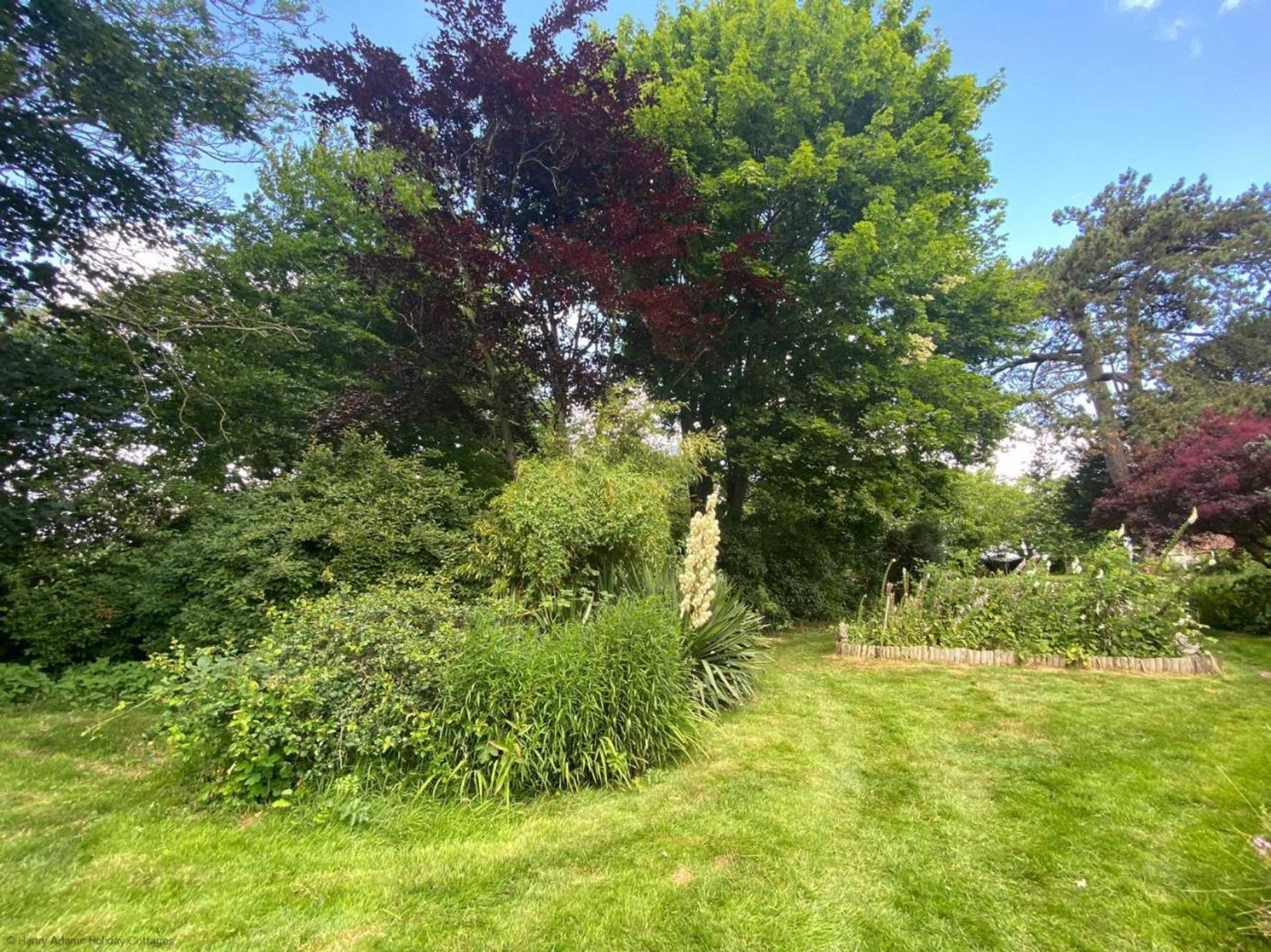 Gift card for Vane Cottage