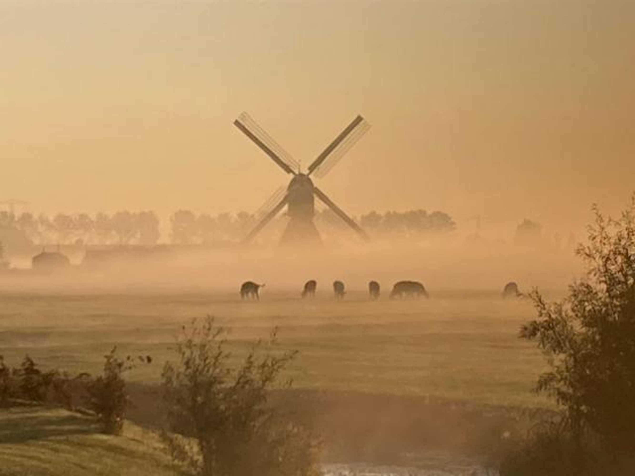 Gift card for Vertoeven Bij Verhoeven