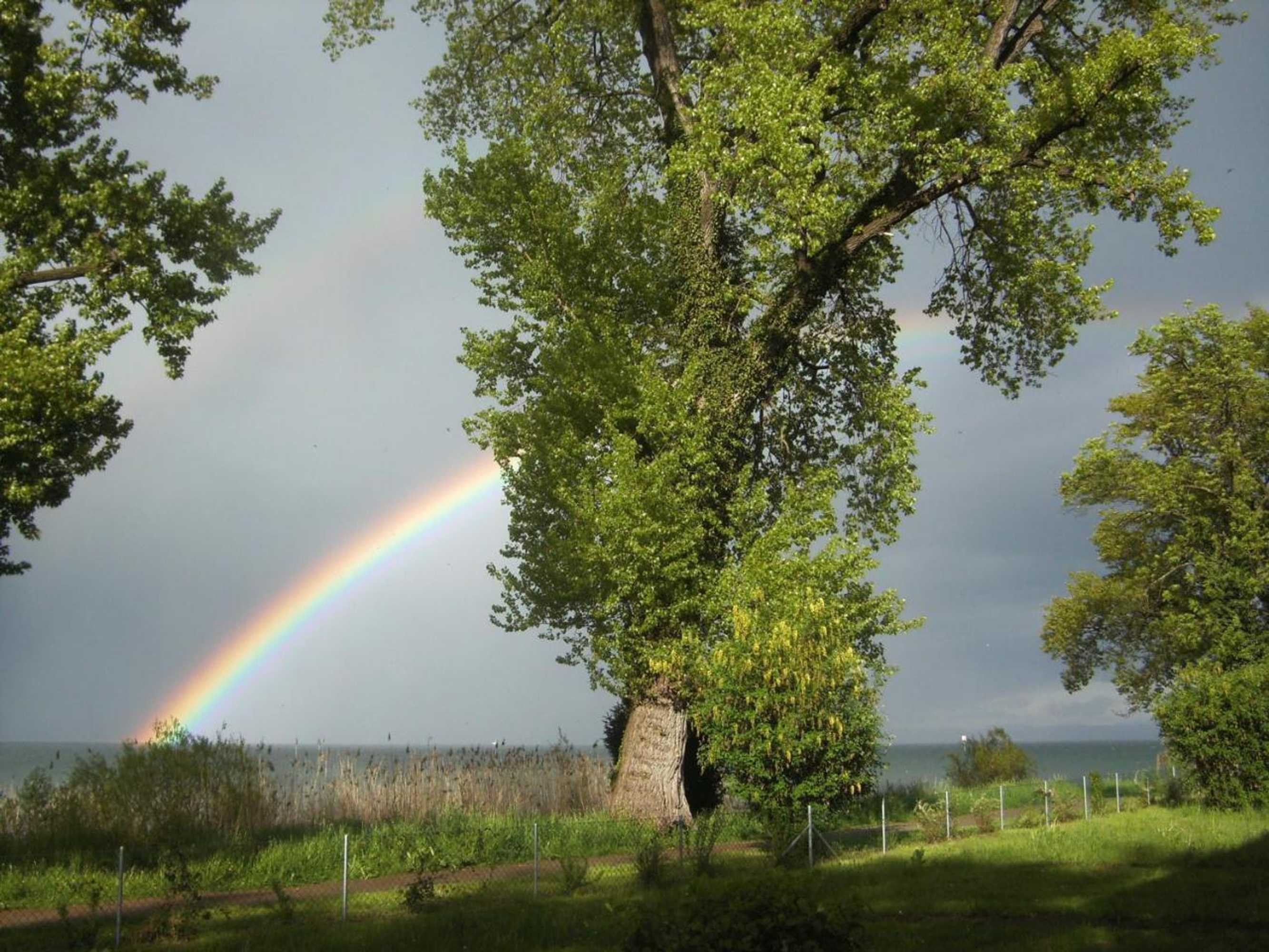 Gift card for Hotel Restaurant Sokrates