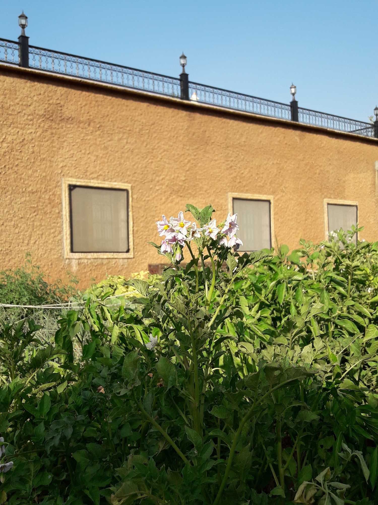 Gift card for Ouirgane Ecolodge