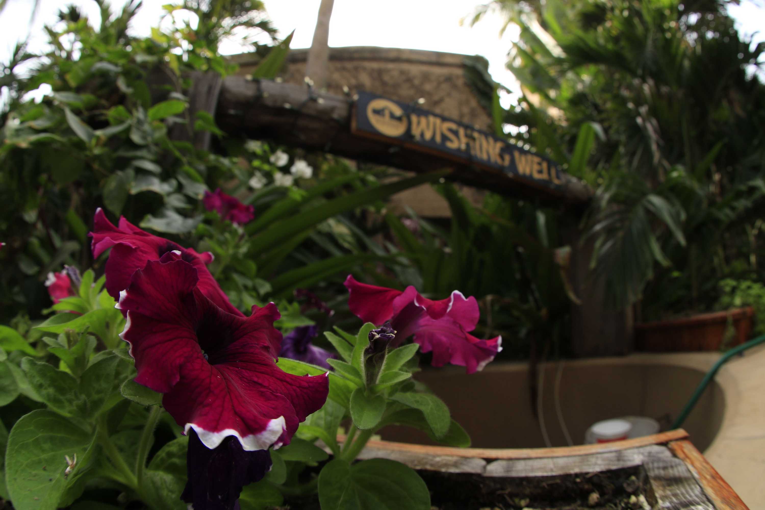 Gift card for Villas El Rancho