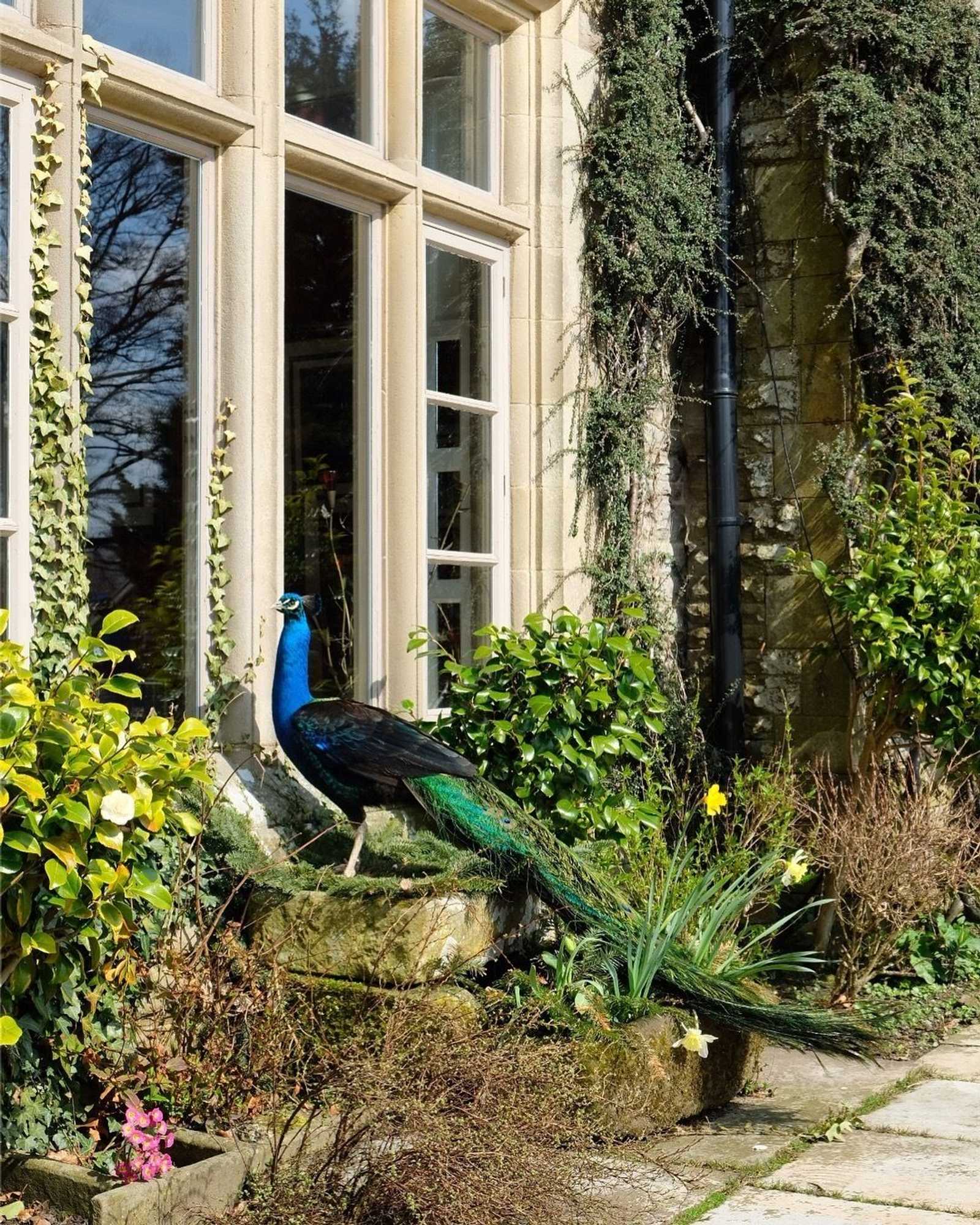Gift card for Simonstone Hall Hotel Gift card for Simonstone Hall Hotel