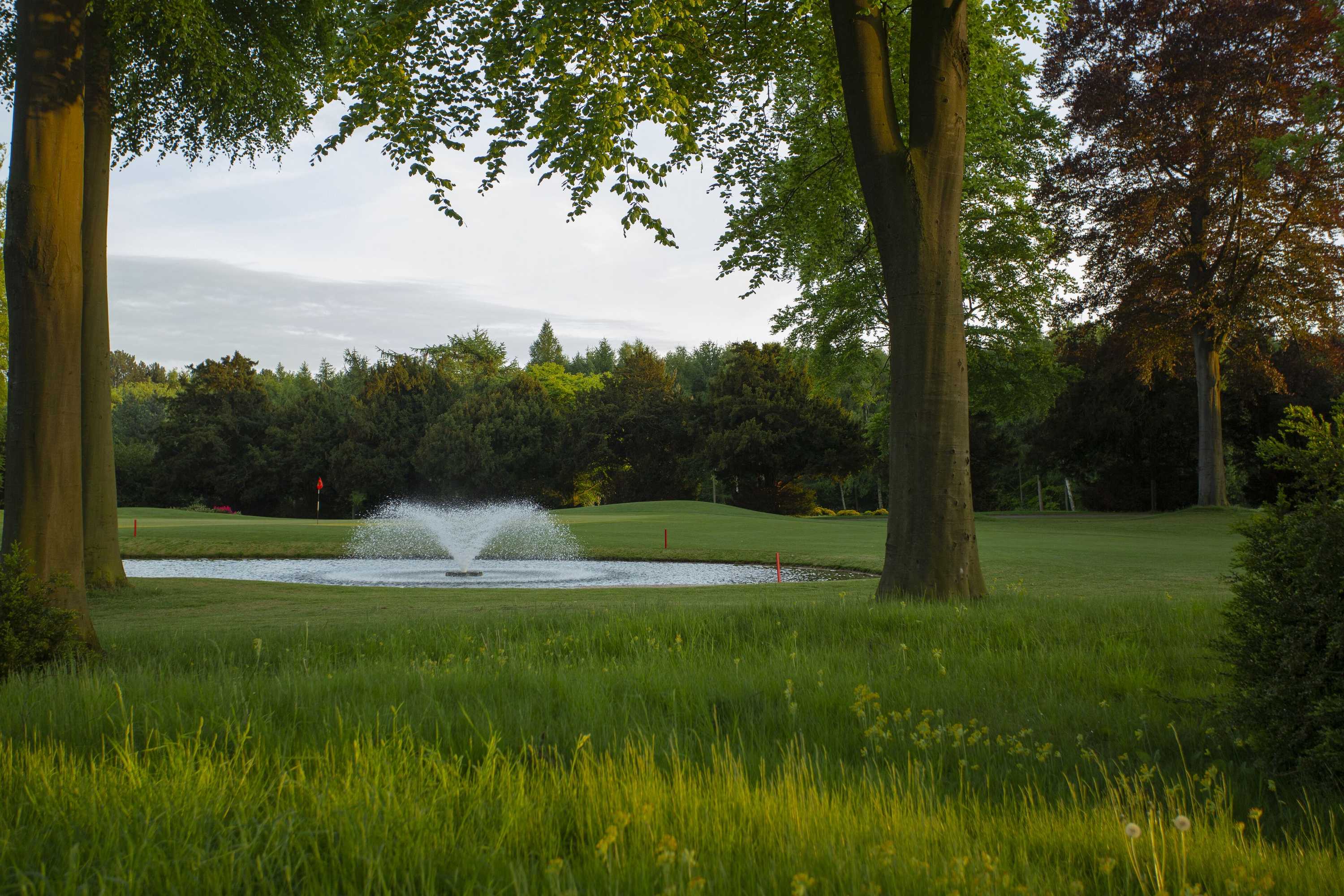 Gift card for Forest Pines Hotel, Spa & Golf Resort