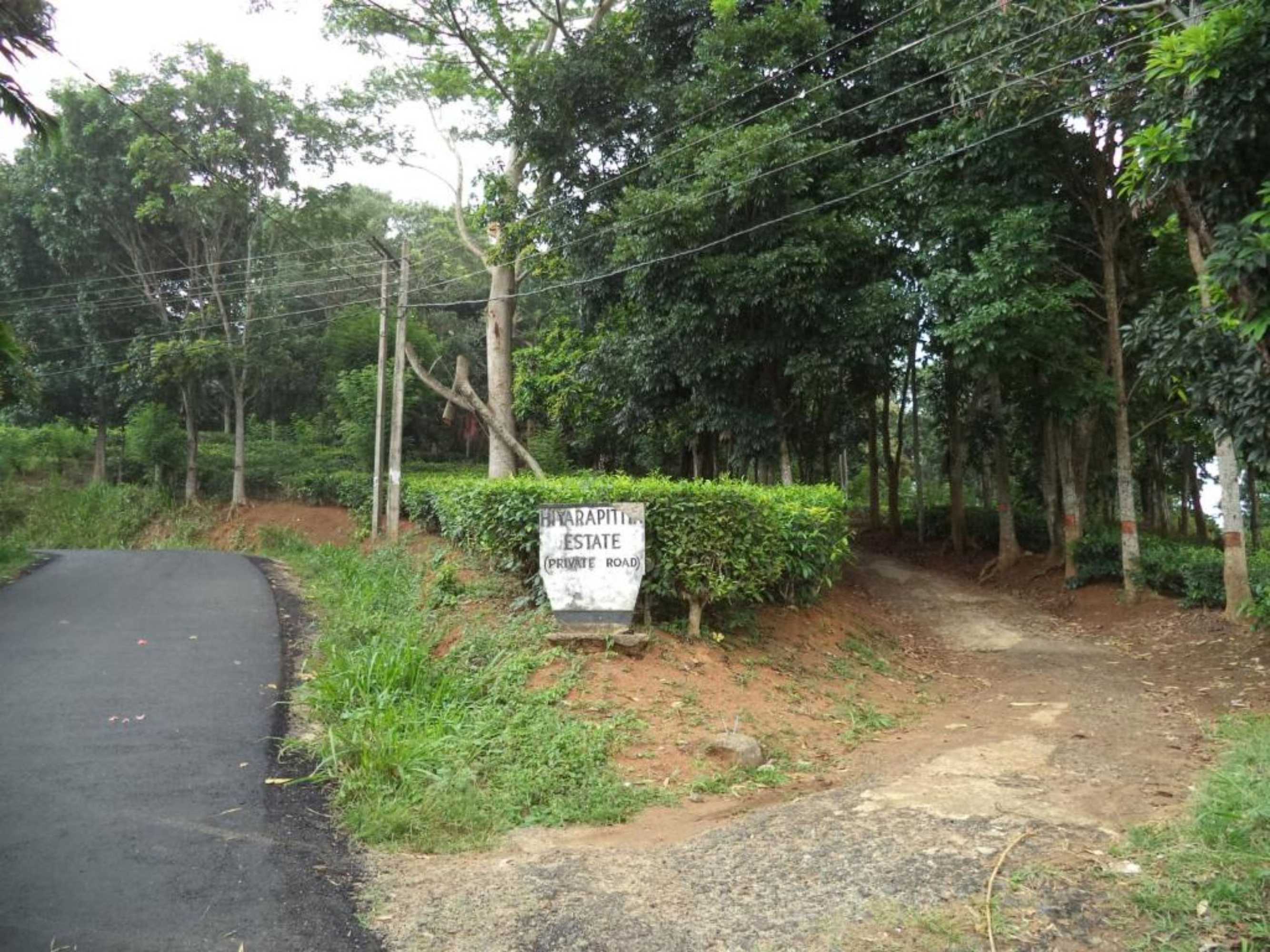 Gift card for Captain's Bungalow